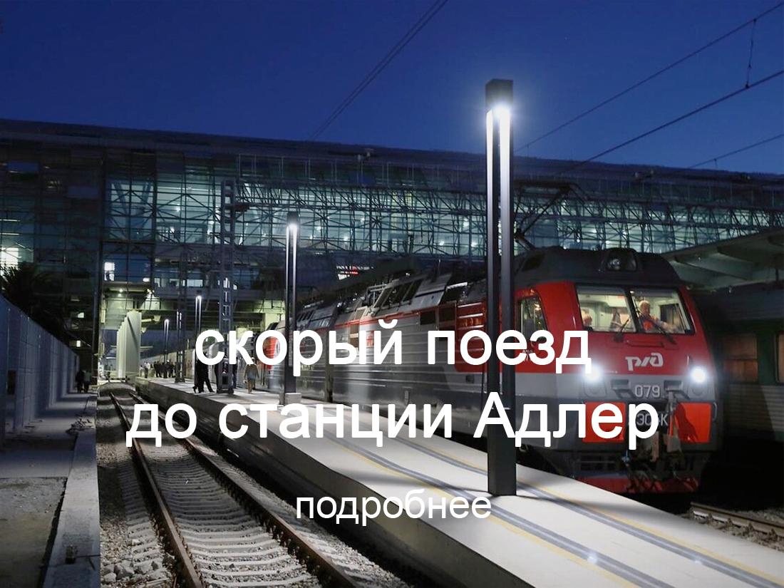поезд до станции Адлер