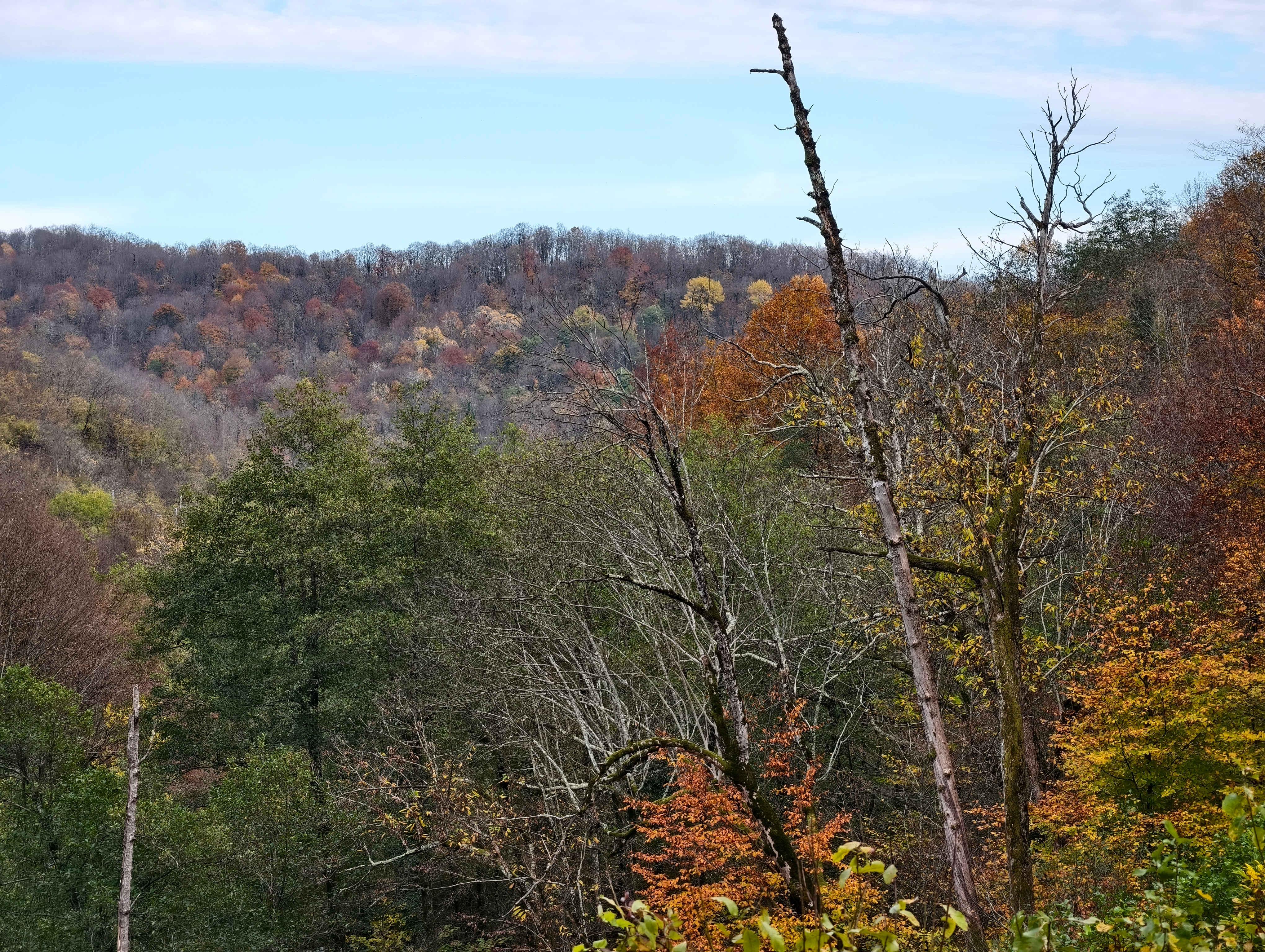 Осенняя пора в лесах Туапсинского района