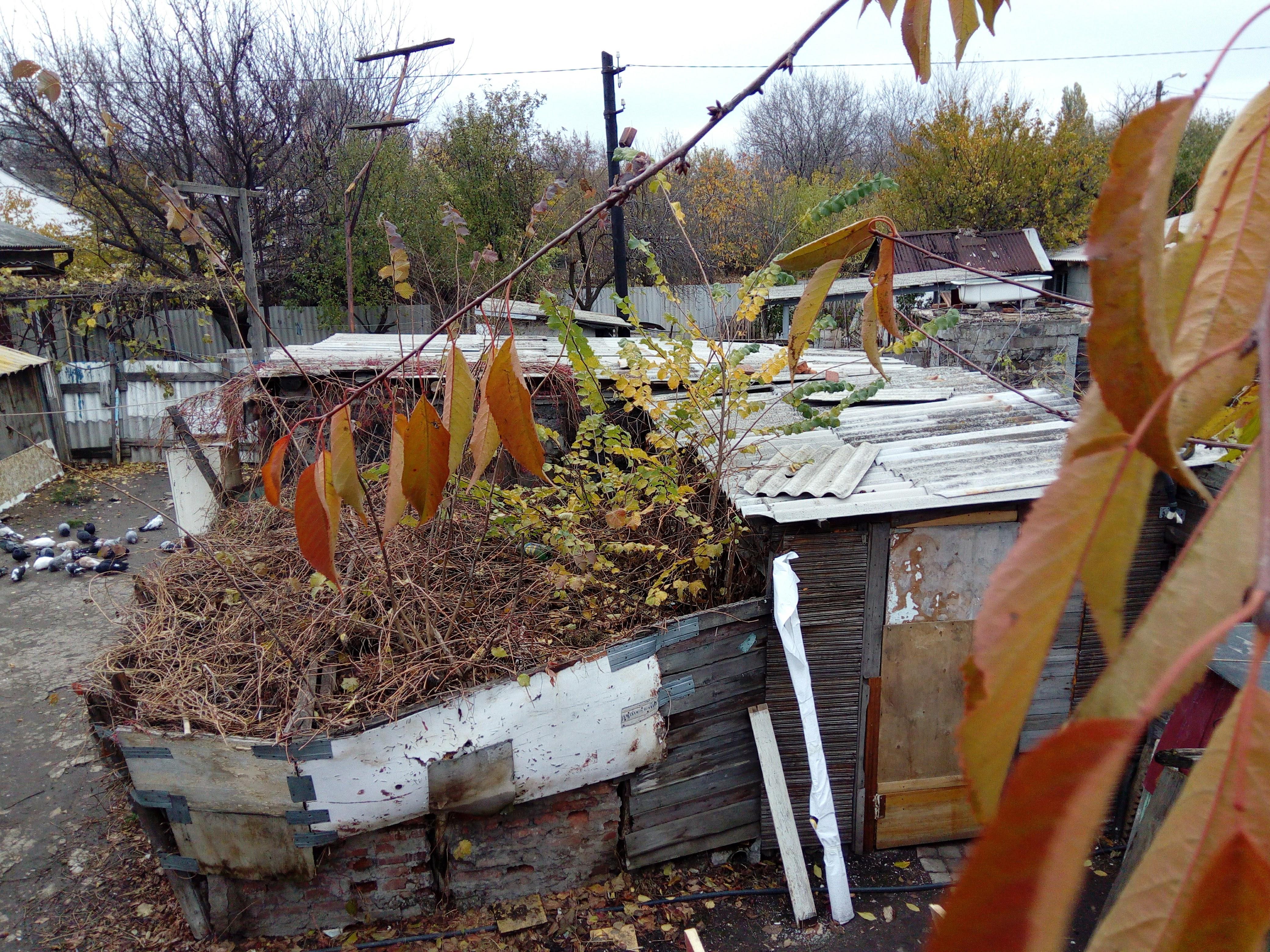 Вид на соседский (Димын) участок, из остатков холобуд построен летний сарай