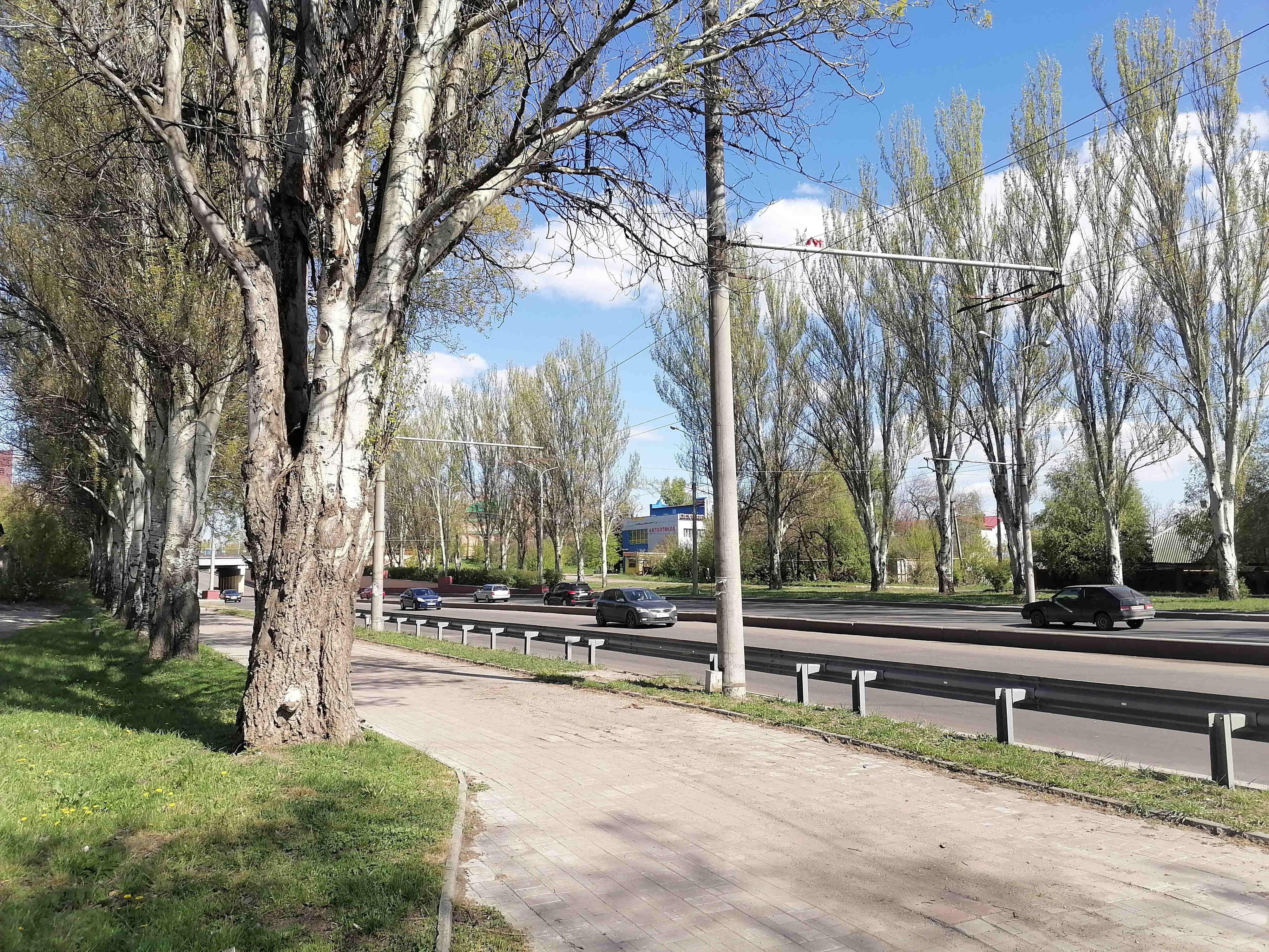 Тополя по улице Артёма, вид на жд мост