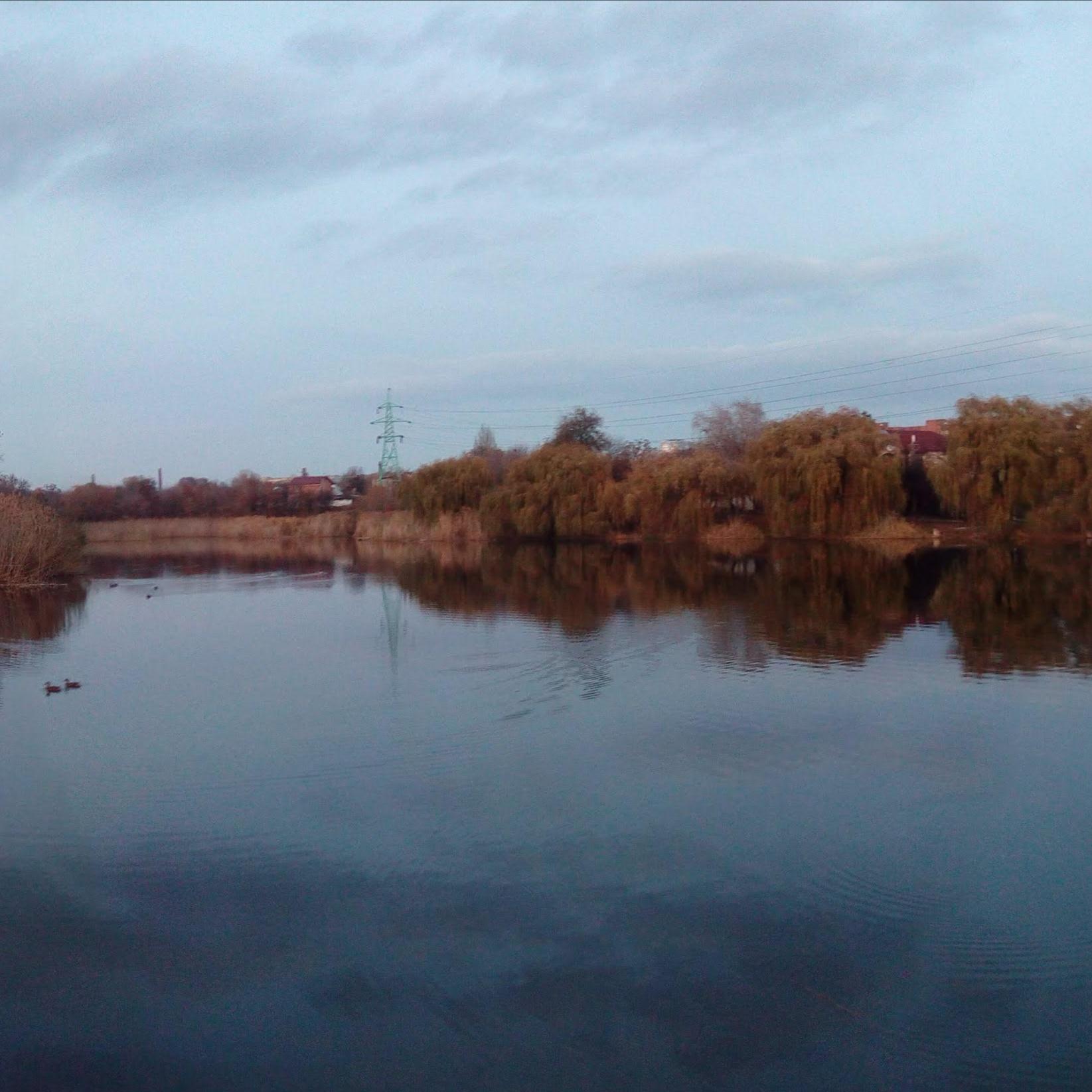 Вид с улицы Артёма на заводь Лиса