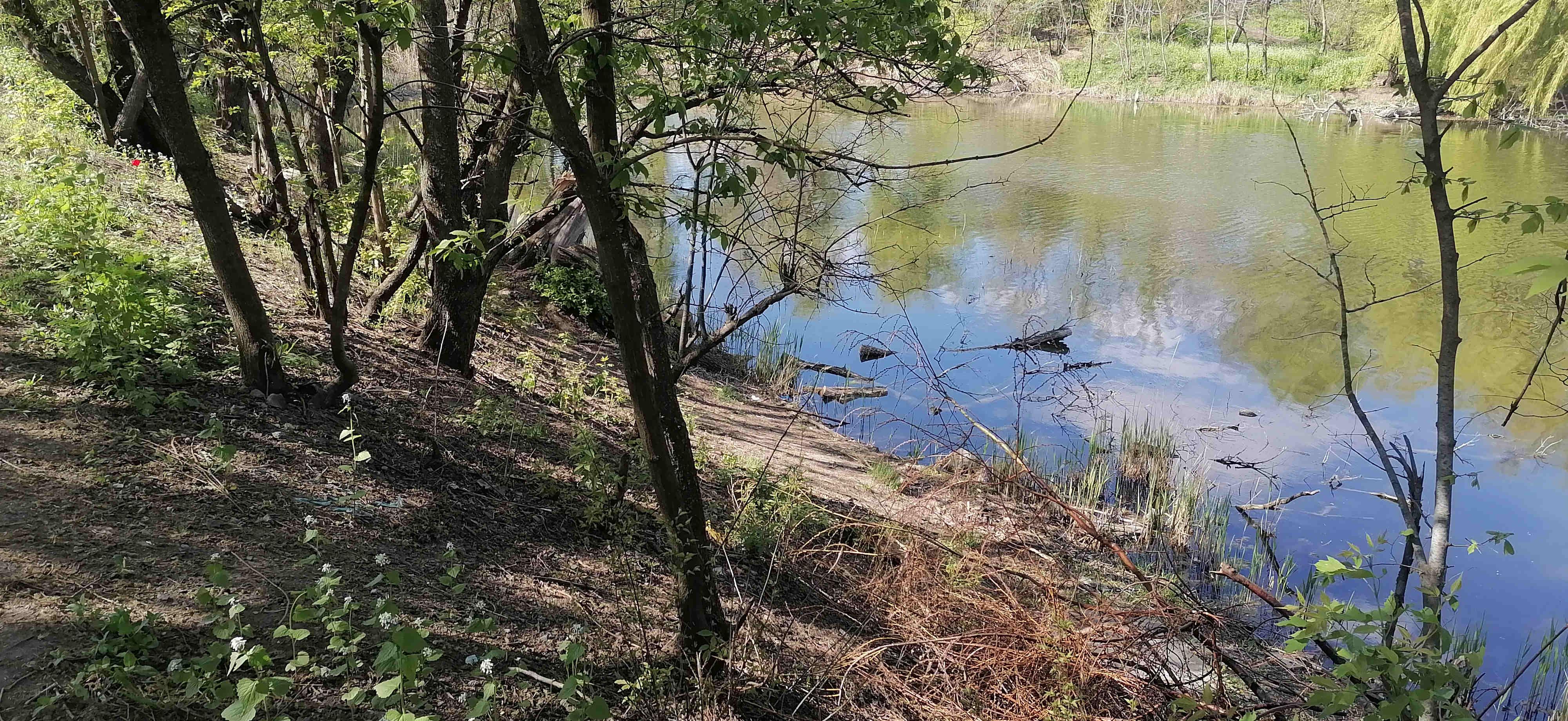 Место бывшей насосной будки для подачи воды из ставка в поливальные машины