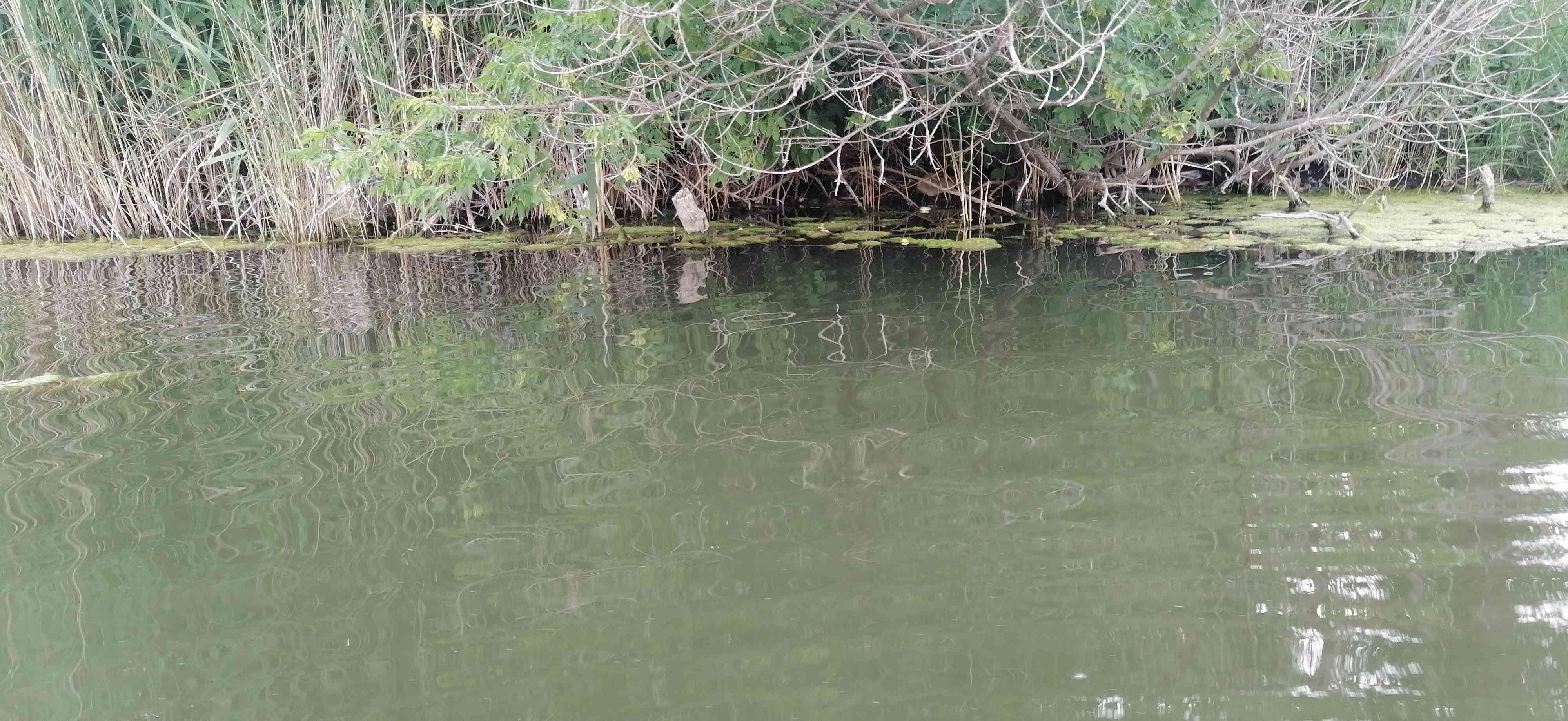 Берег у бывшей паровозной водокачки