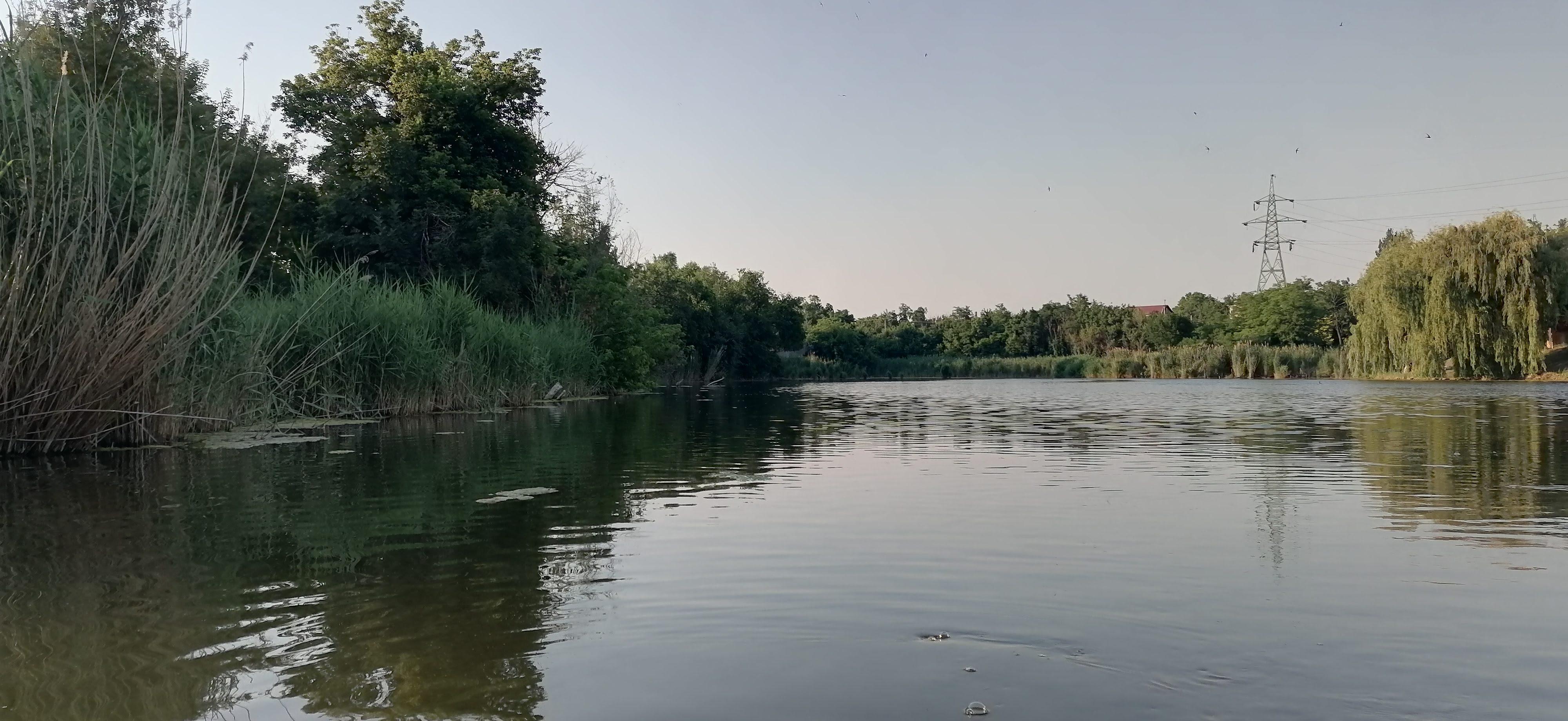Вид в северную часть ставка, в сторону заводи Лиса