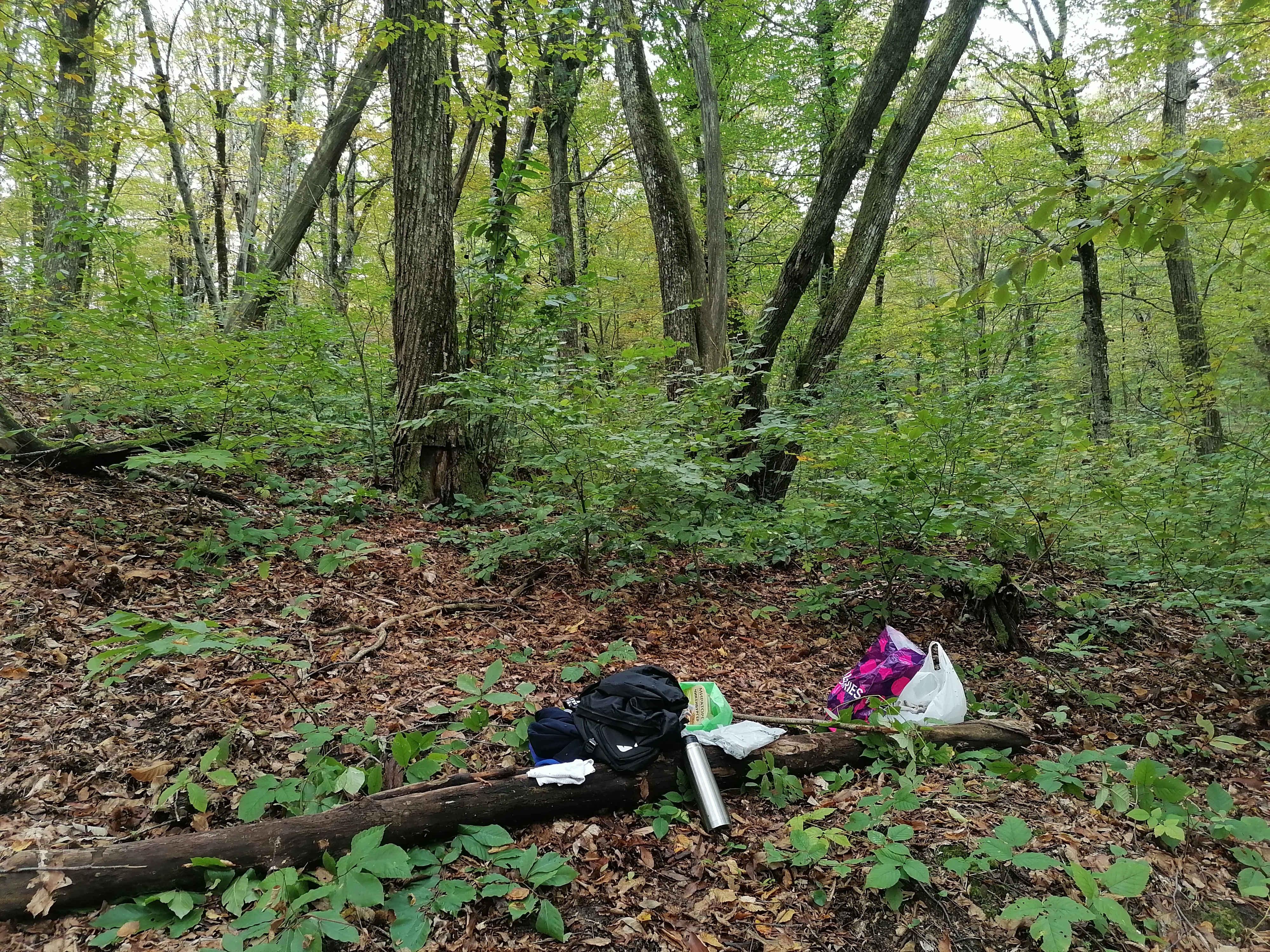 Небольшой привал в лесу