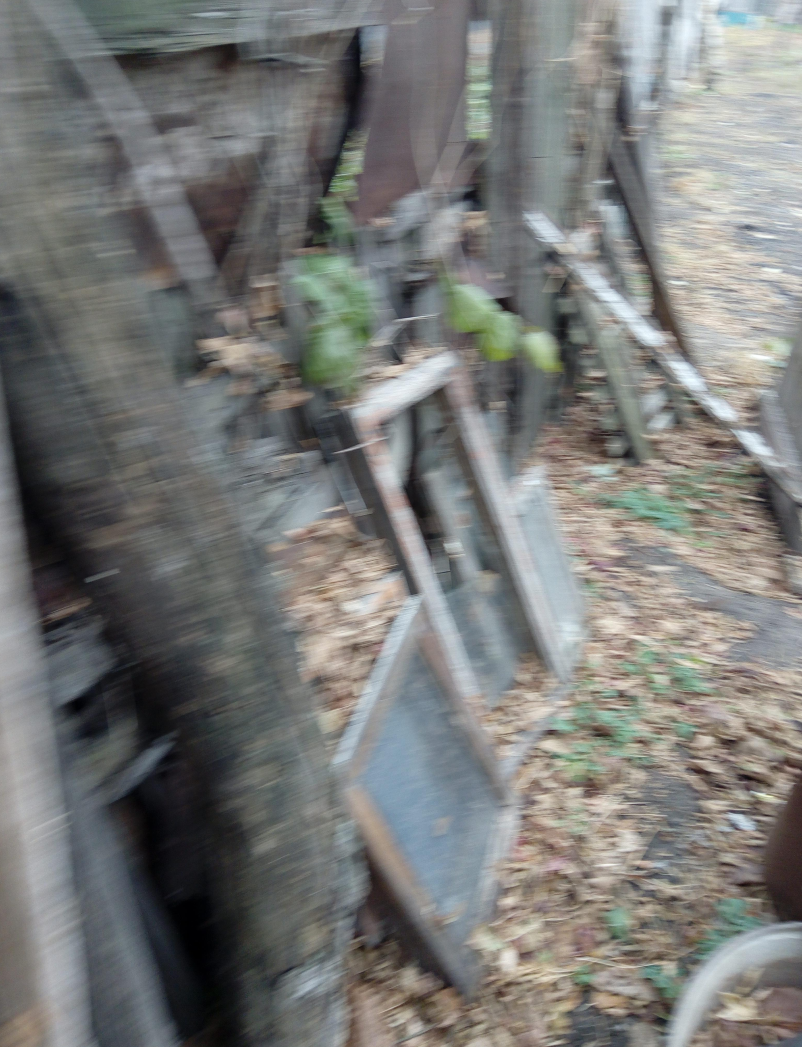 Возле заднего забора, клондайк для контрольного сбора