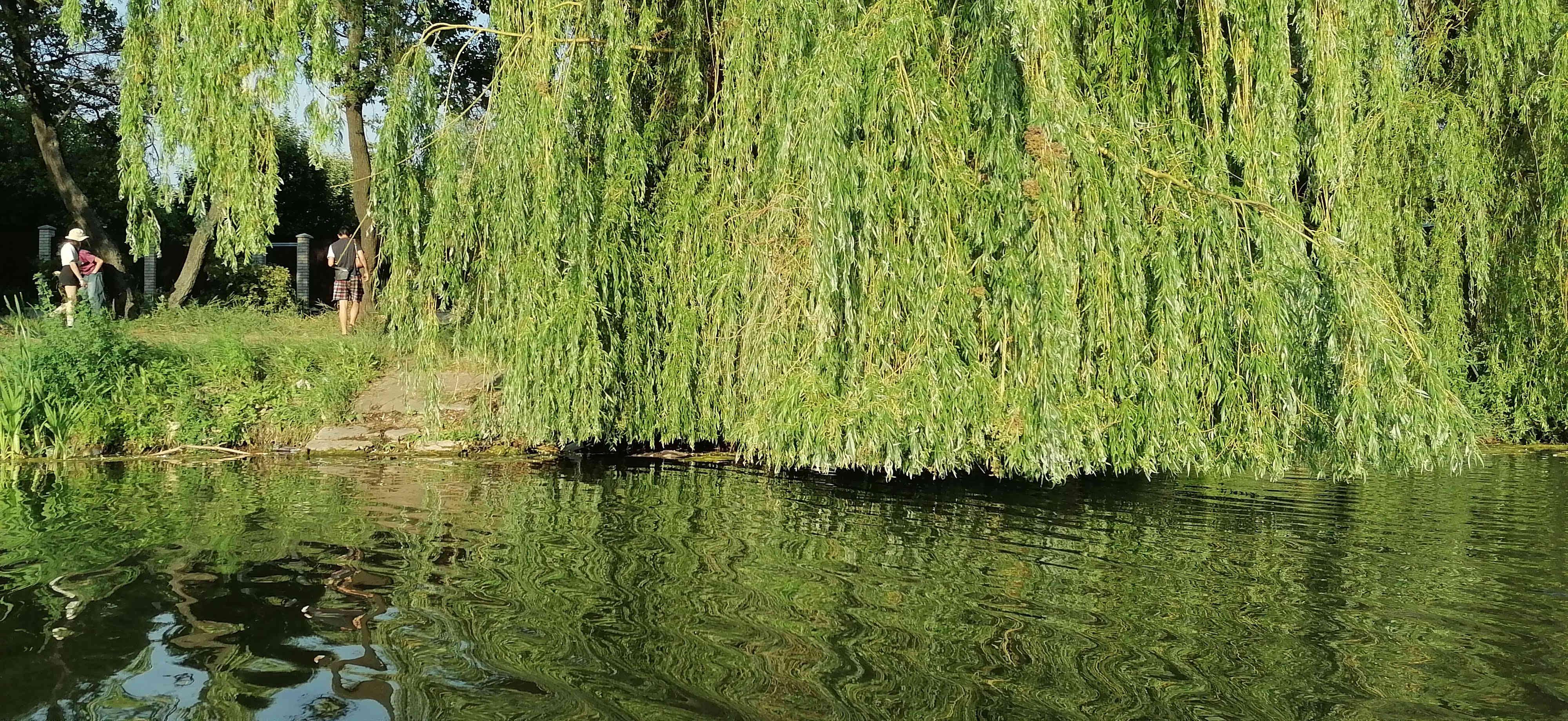 Виднеется бетонное основание от бывшей металлической водяной горки