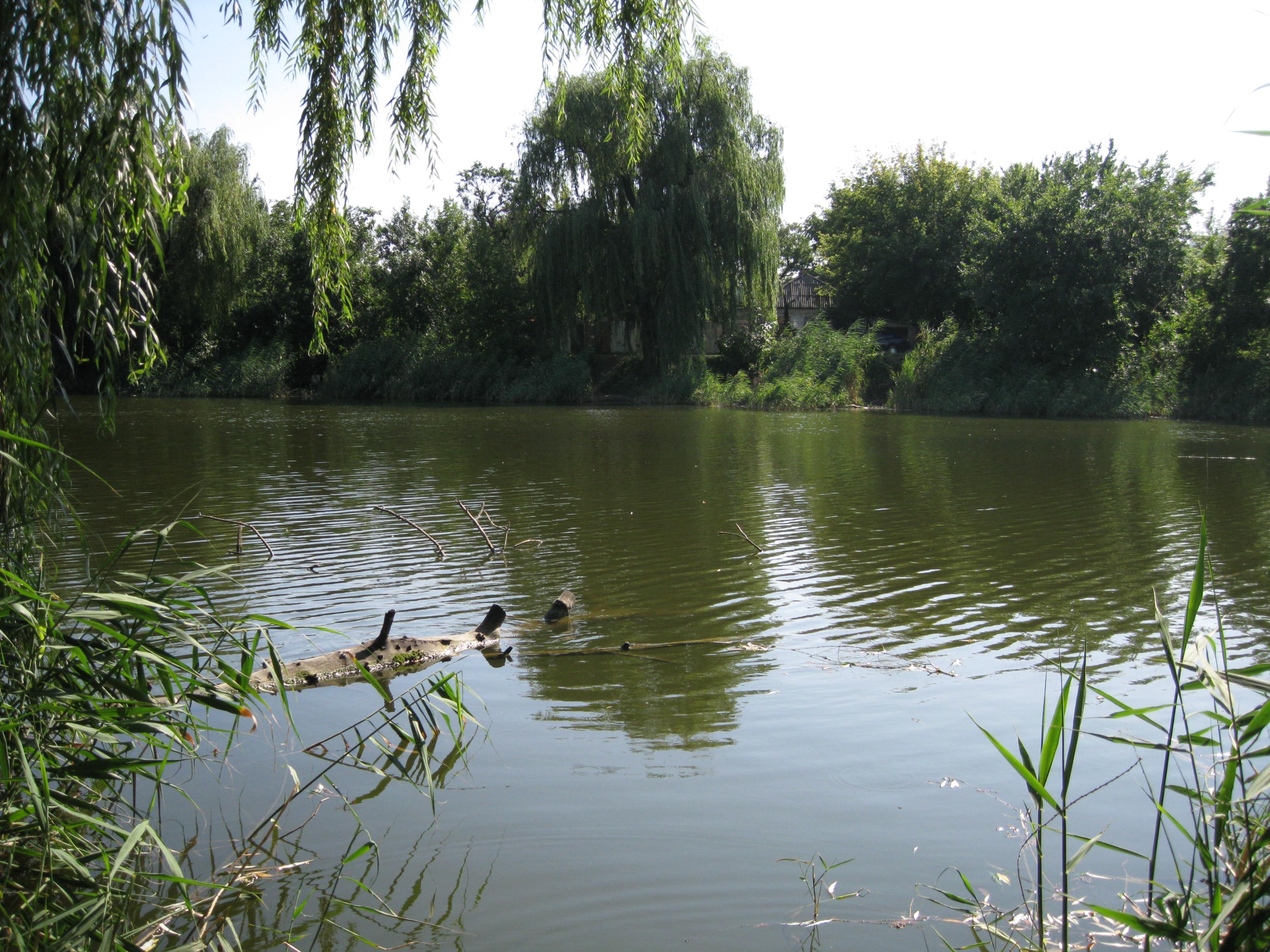 Вид на улицу Артековская со "второго" пляжа