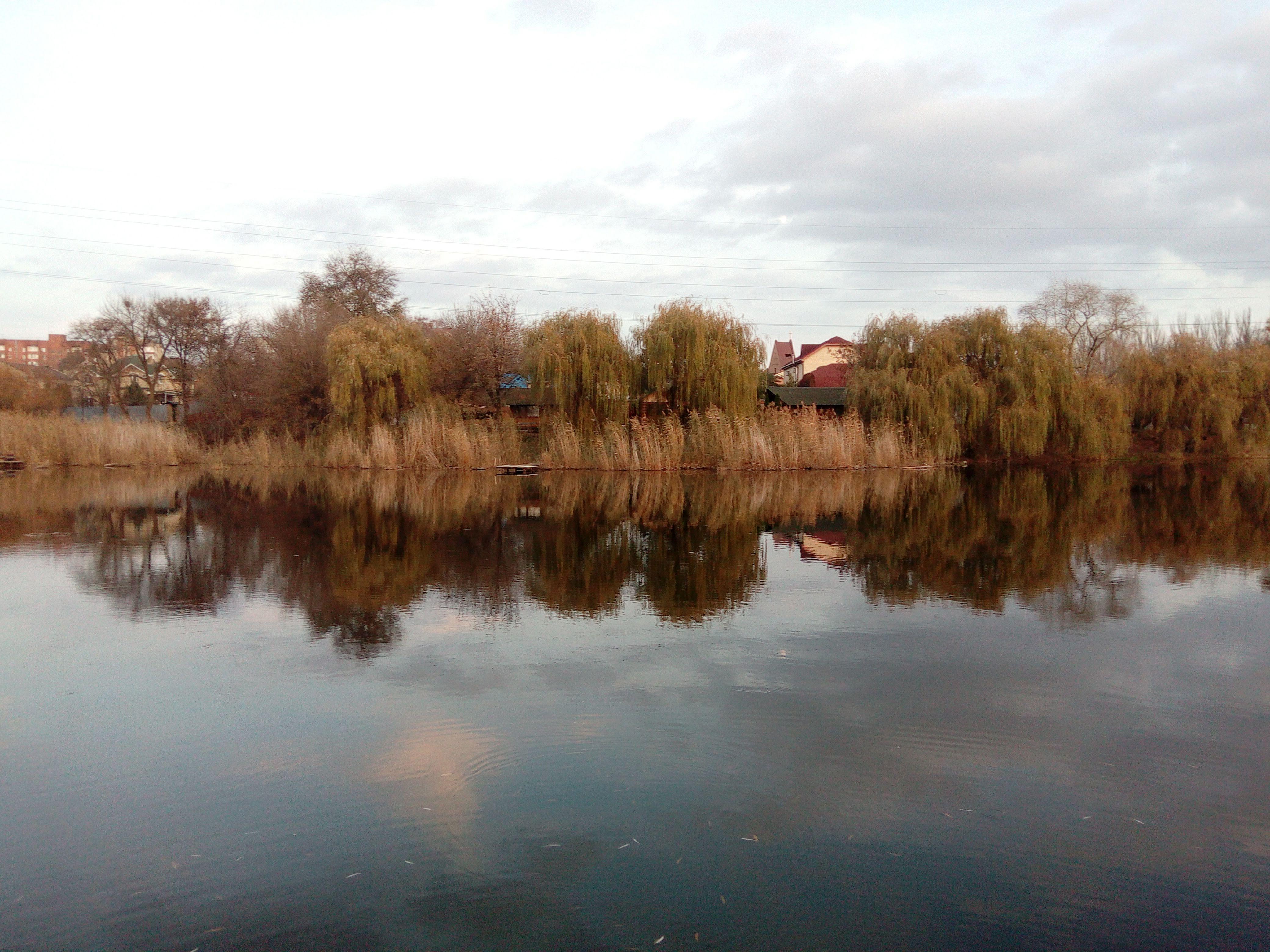 Вид на "центральный" пляж и кафе "Поплавок"