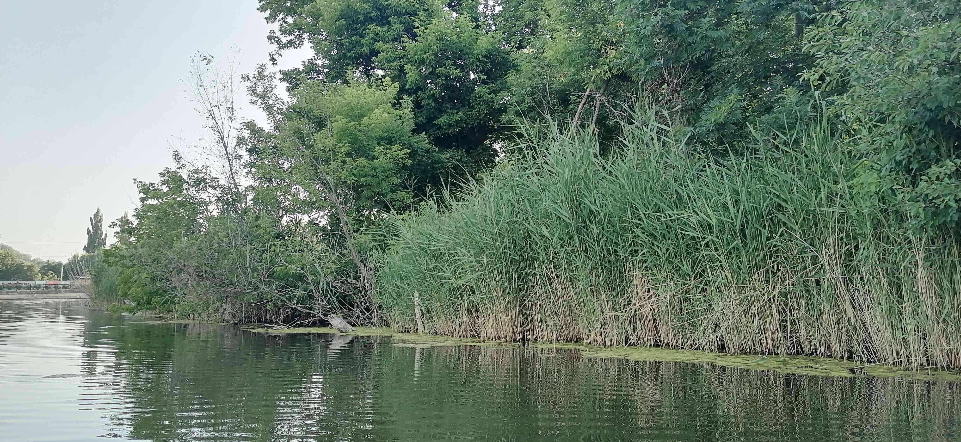 За этими камышами развалины бывшей паровозной водокачки