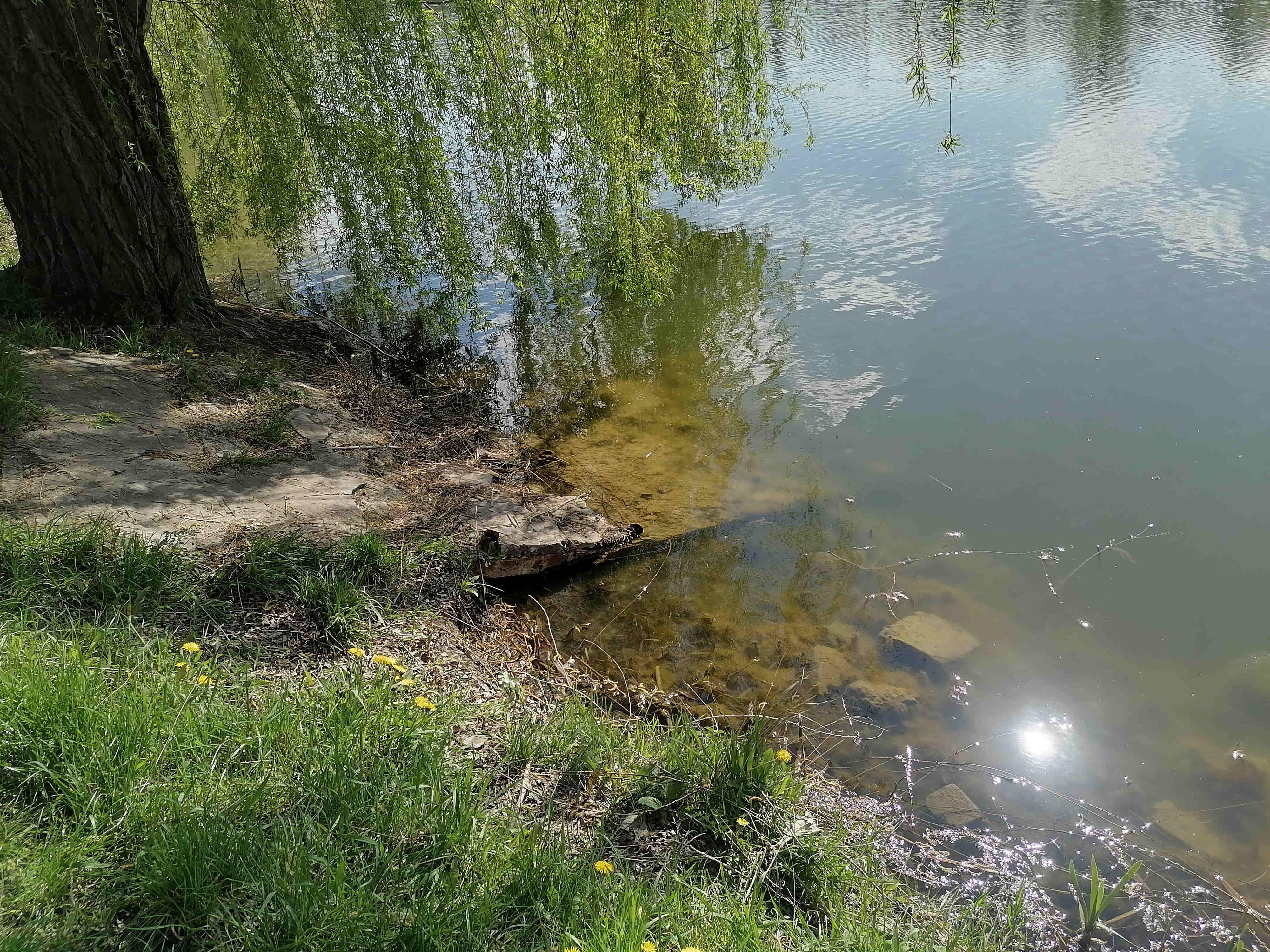 Остатки места расположения водяных горок, видны в бетоне бывшие опоры