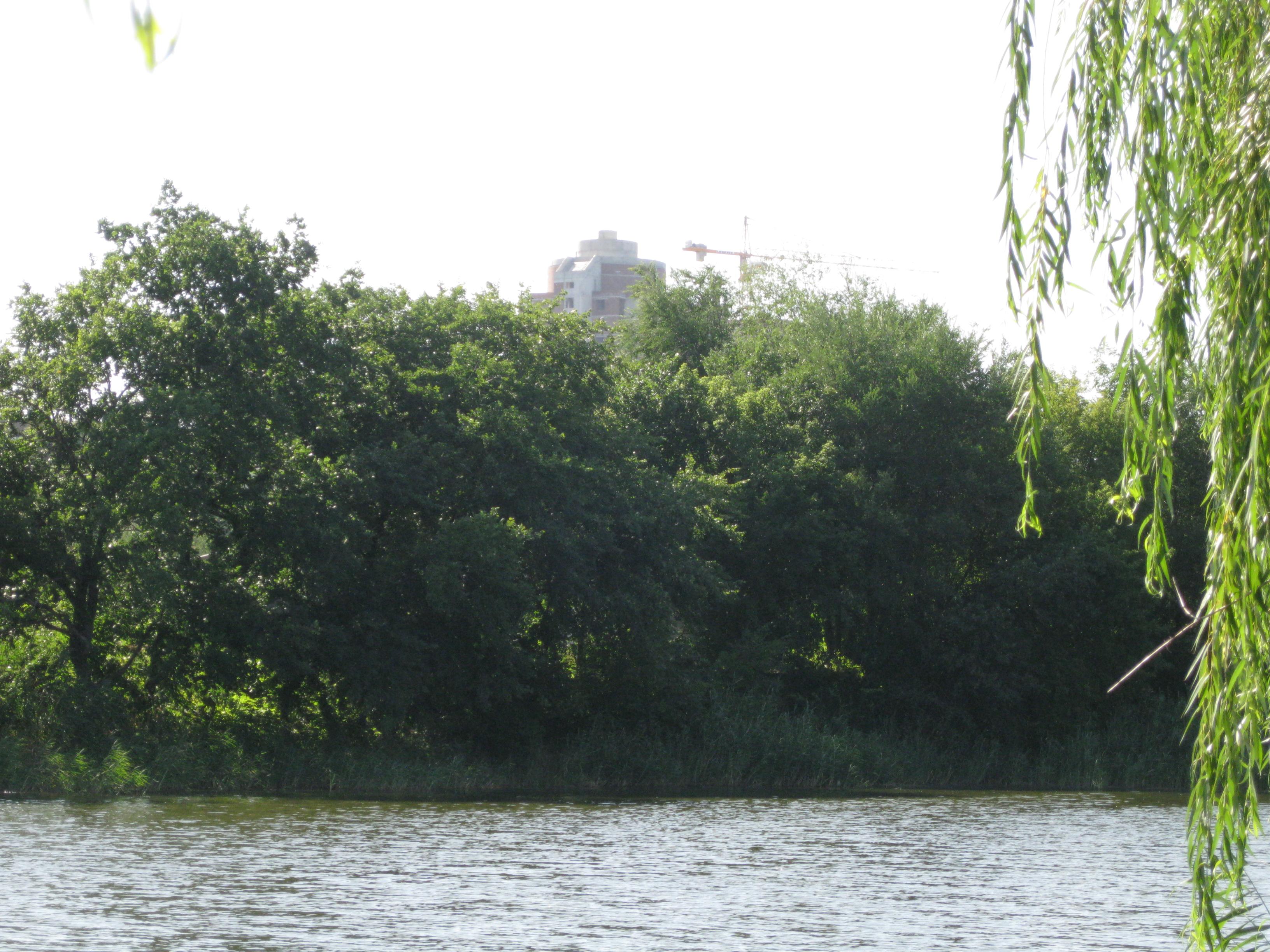 Вид на мой двор и любимые места для ловли рыбы