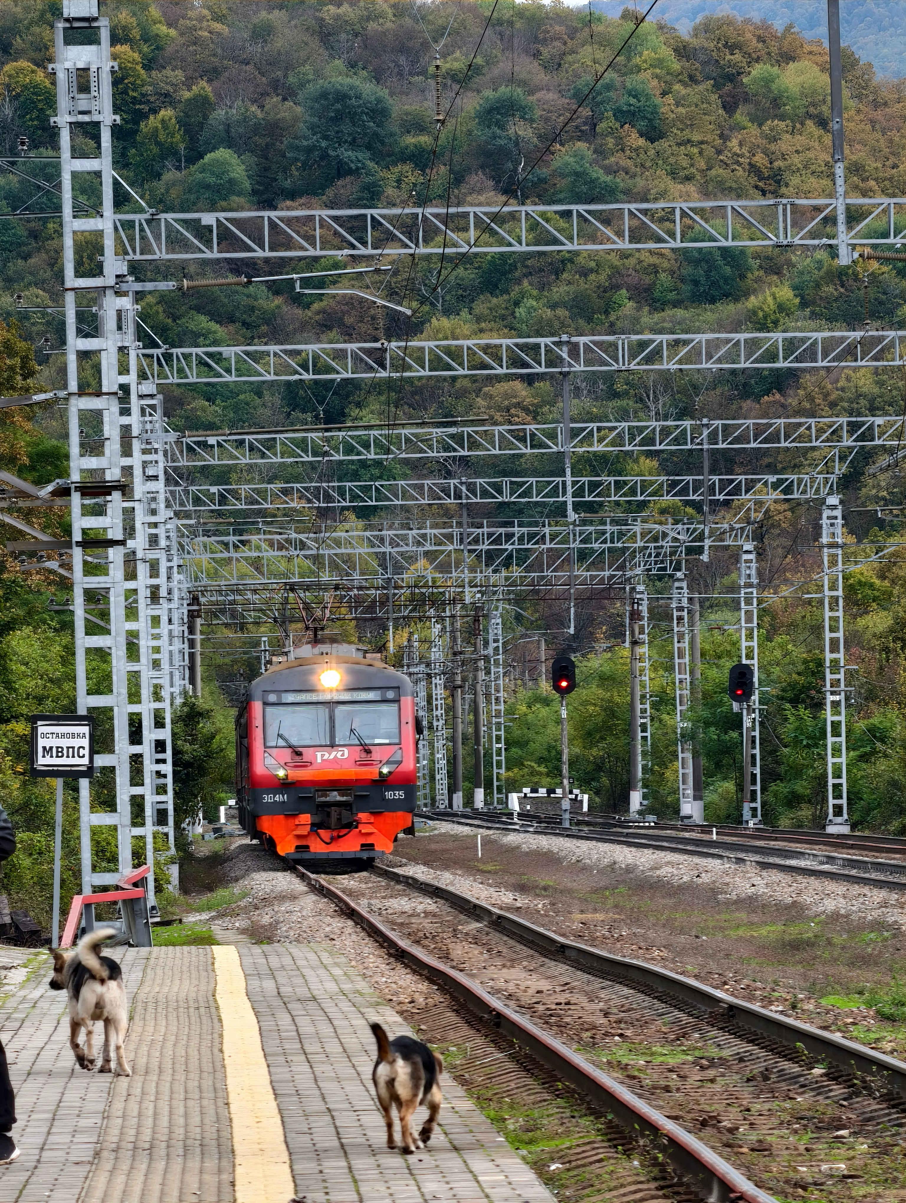 Электричка из Туапсе