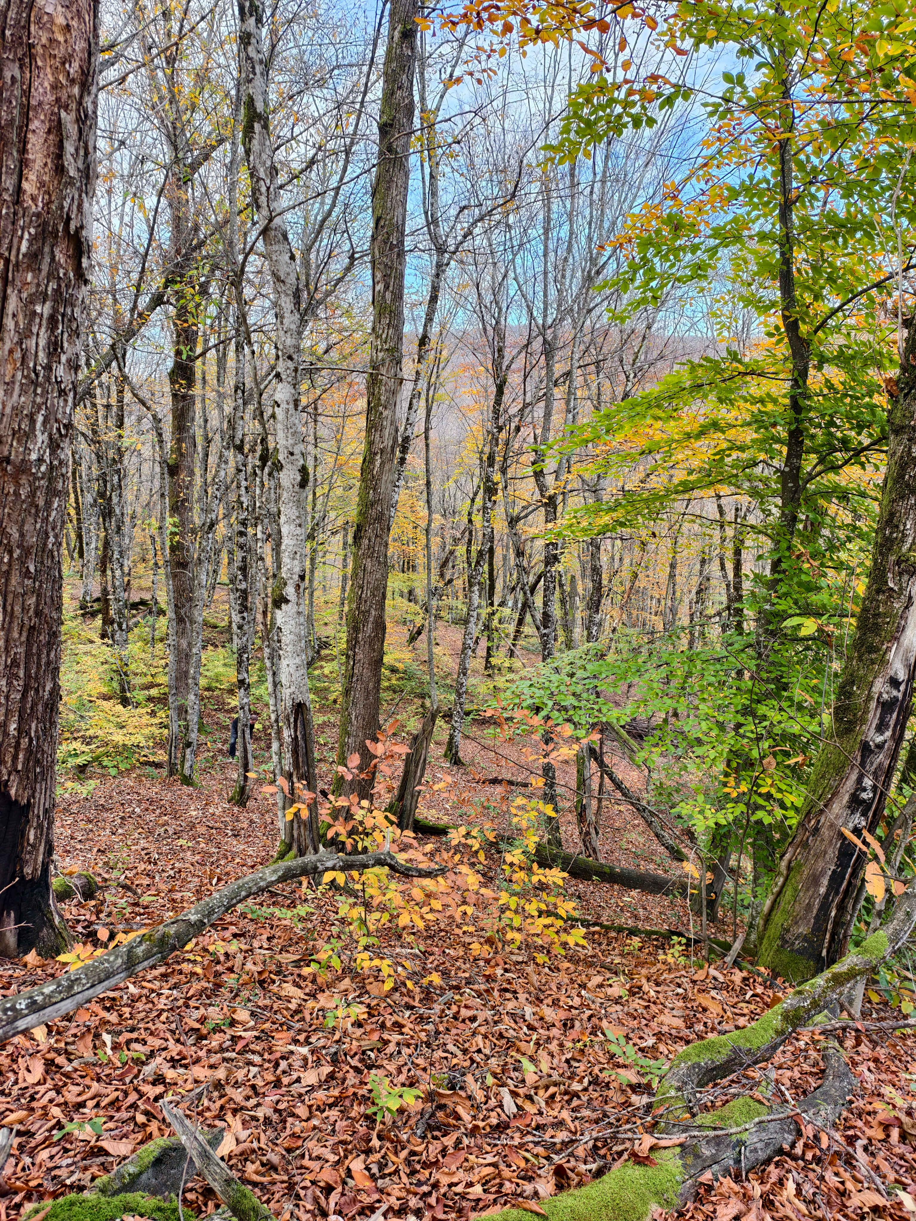 Южные отроги Главного Кавказского Хребта в ноябре