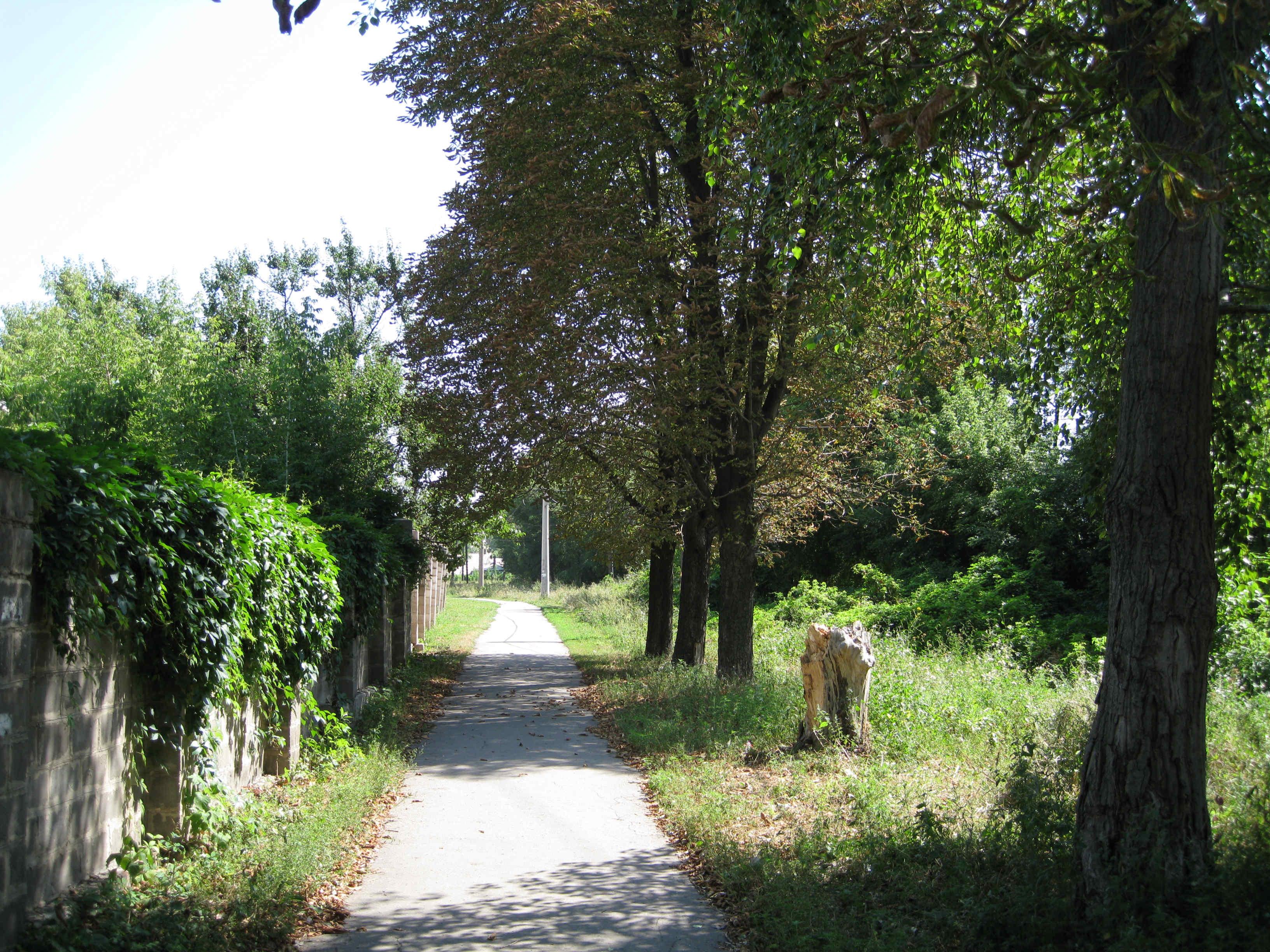 Пешеходная дорожка к трамвайному кольцу маршрута №6, справа проходил трамвайный путь от кольца на завод РКЭТ