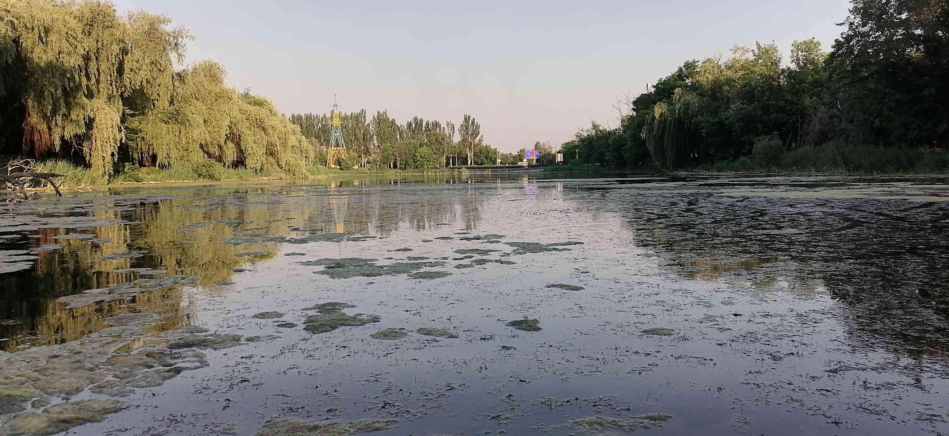 Вид в сторону улицы Артёма 