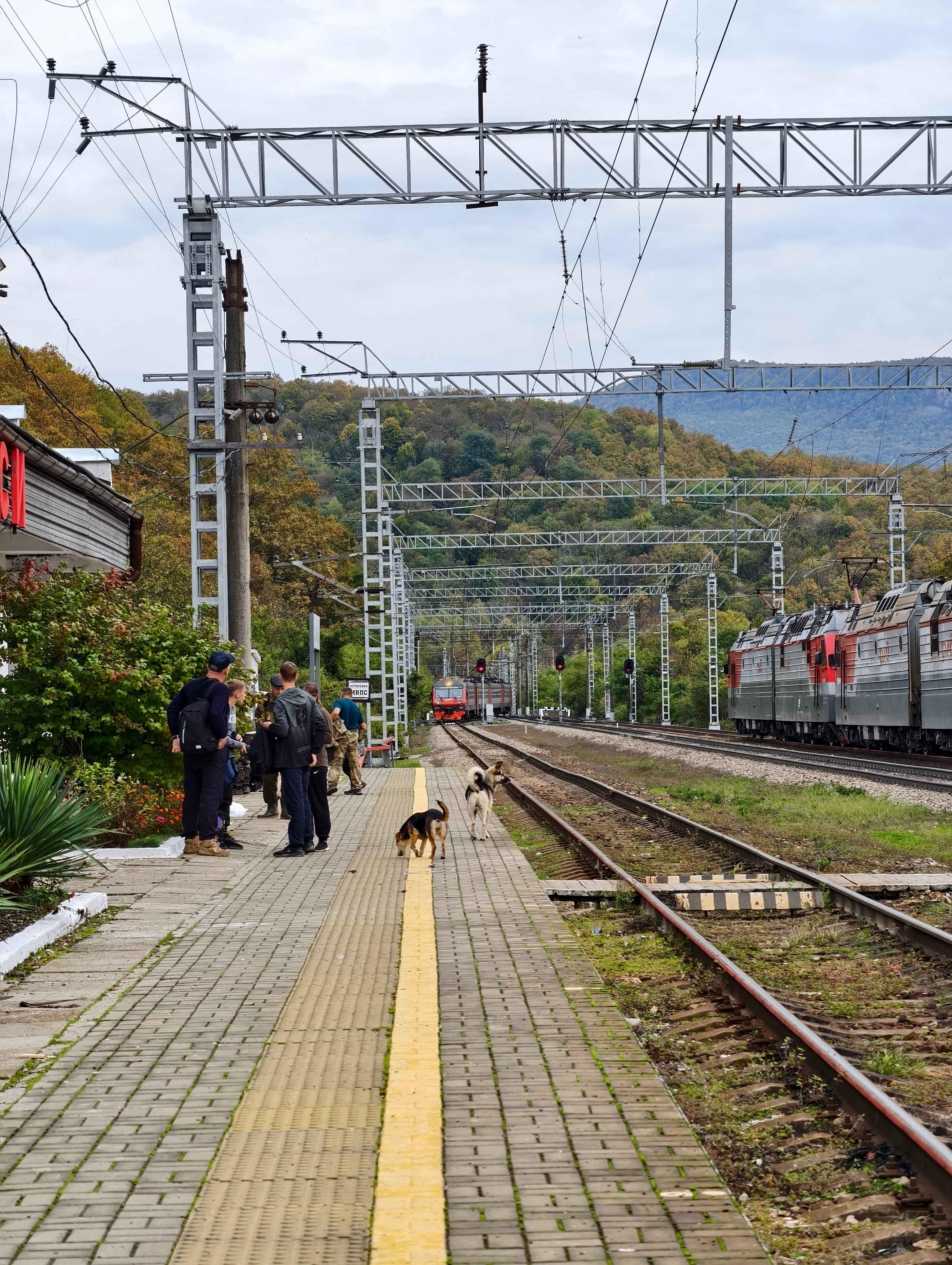 А вот и прибывает электричка Туапсе - Горячий Ключ