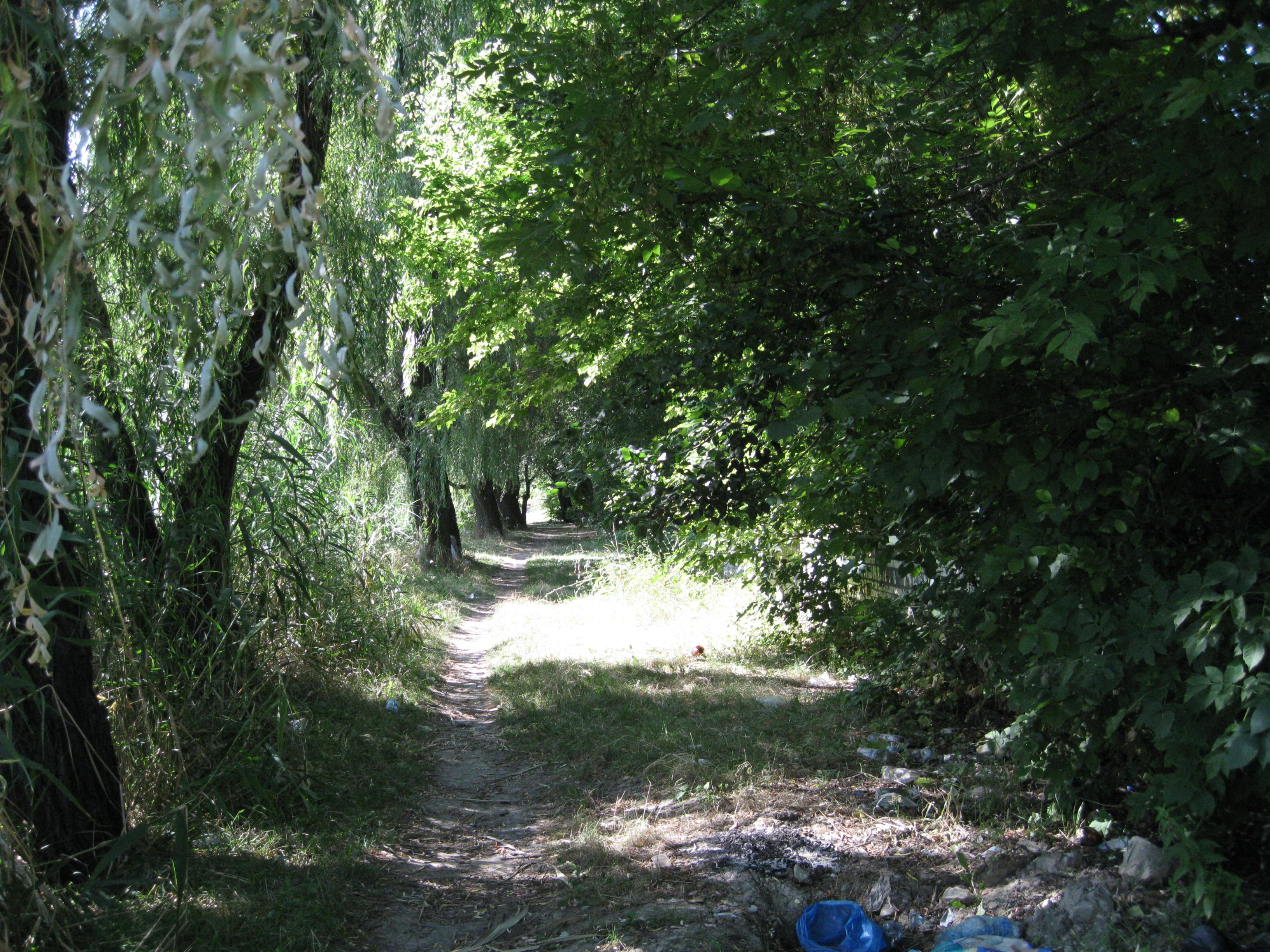 Всё, что осталось от пляжа в западной части ставка, северная сторона