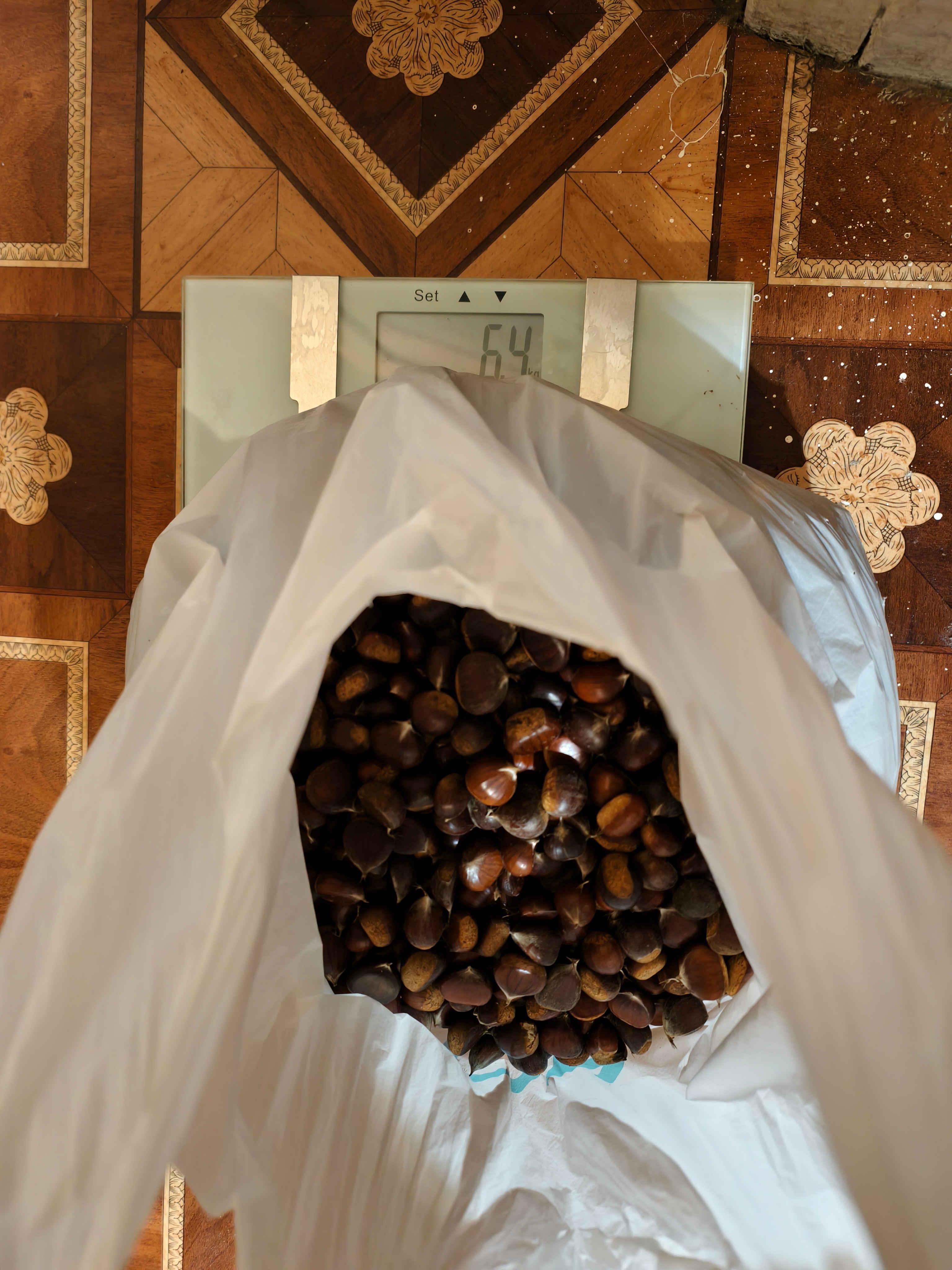 Всего собрали 6.4 кг каштанов за 2 с половиной часа