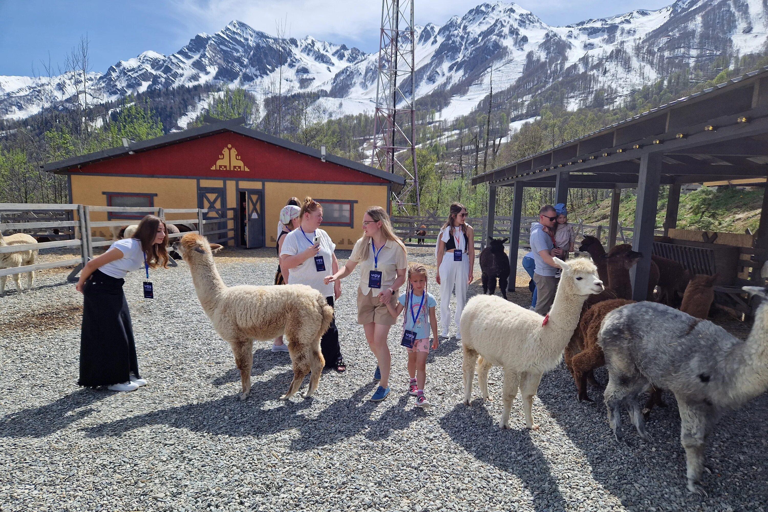 Ривьерский мост