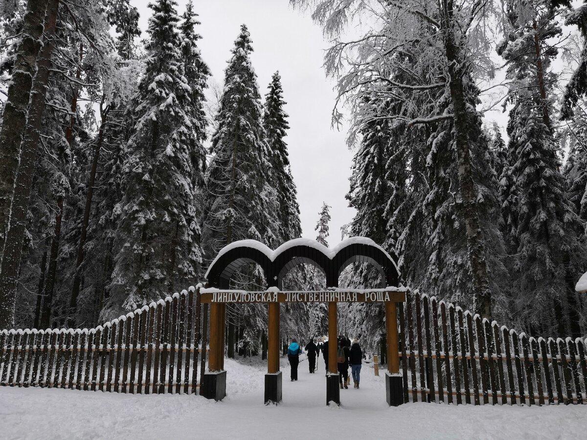 Линдуловская роща