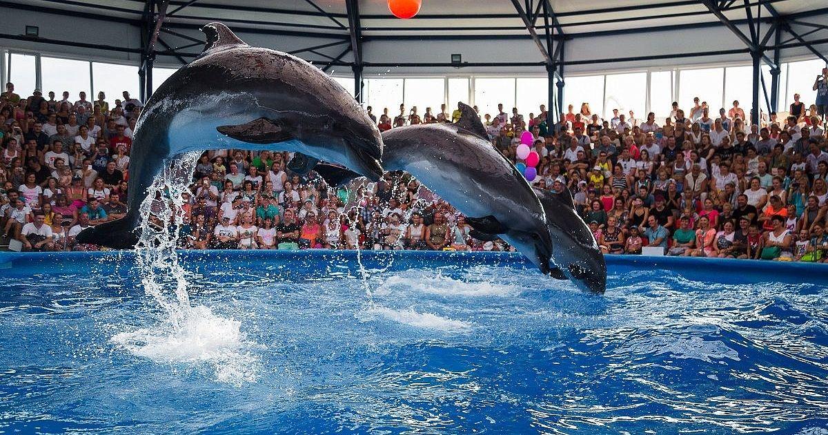 Ривьерский мост