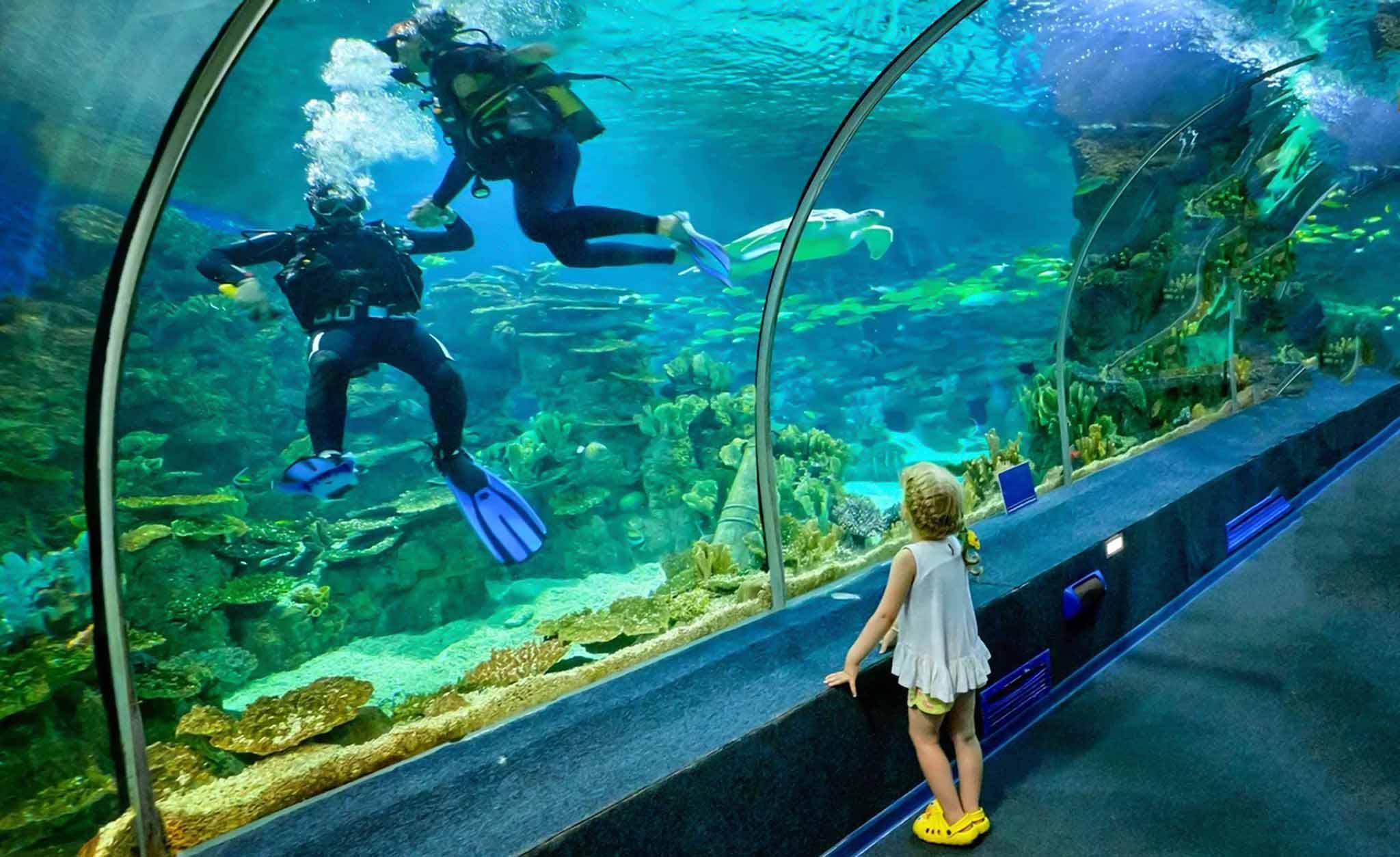 Сочинский океанариум