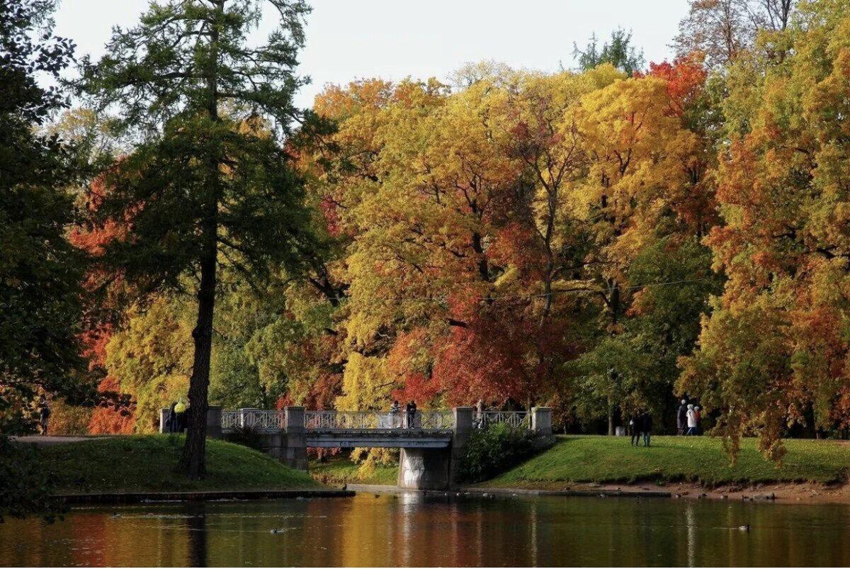 Елагин остров