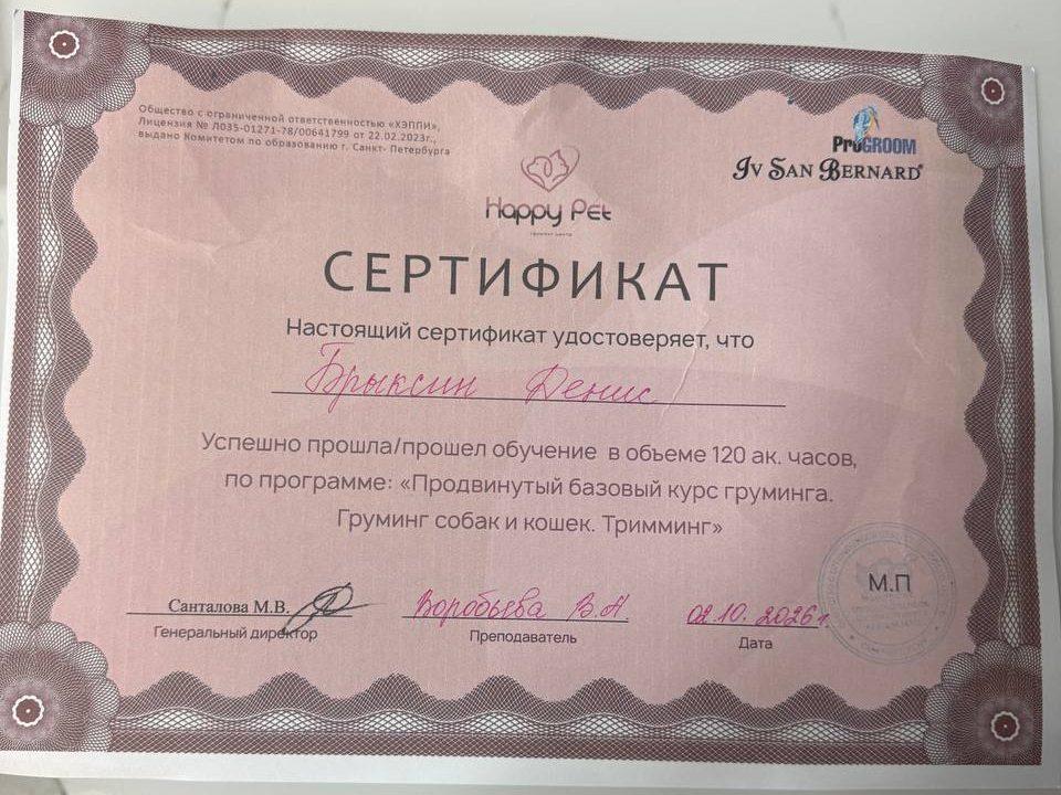 Сертификат Happy Pet: продвинутый базовый курс груминга, груминг собак и кошек, тримминг, Денис