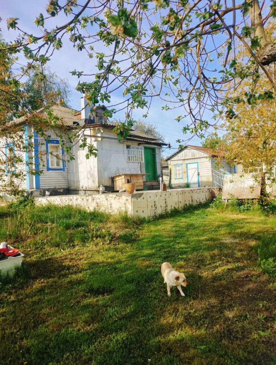 double image first part