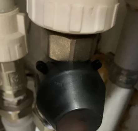 microscope preview