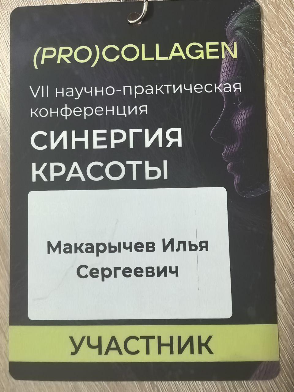 Макарычев И С