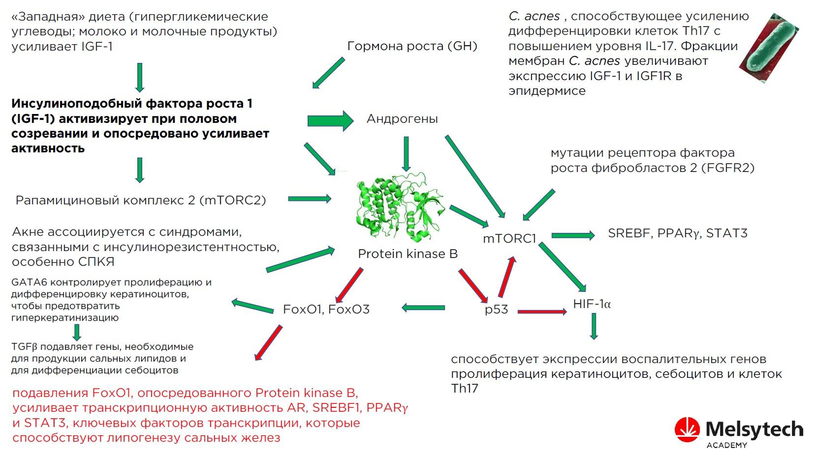 акрохордон черный акантоз