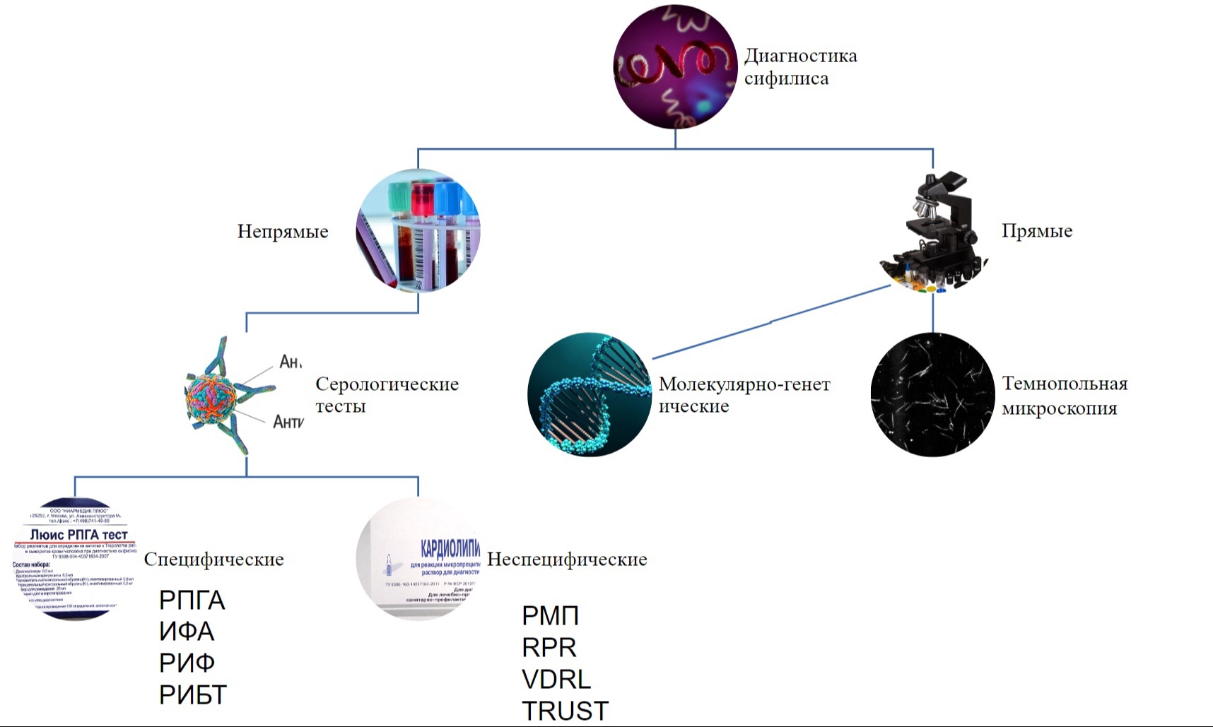 Диагностика сифилиса