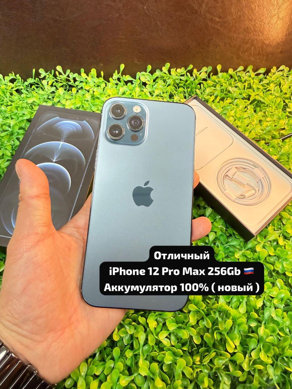 iPhone 12 Pro Max 256GB