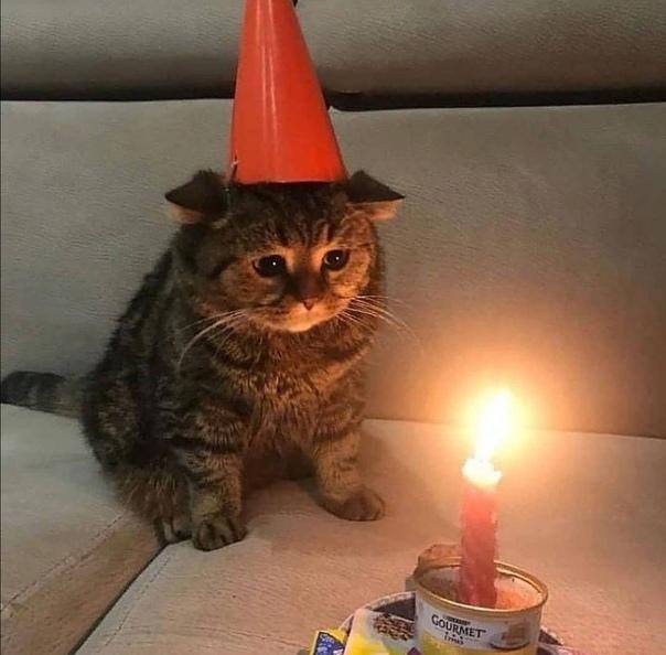 Три причины апатии в долгие праздничные выходные