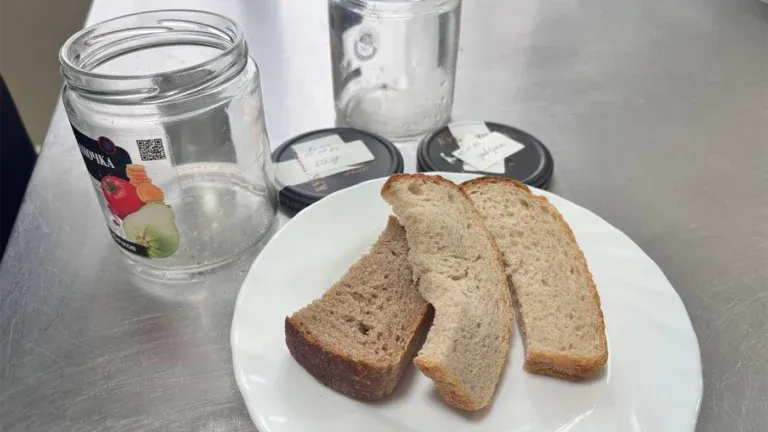 На Камчатке дети нашли в школьном хлебе личинок