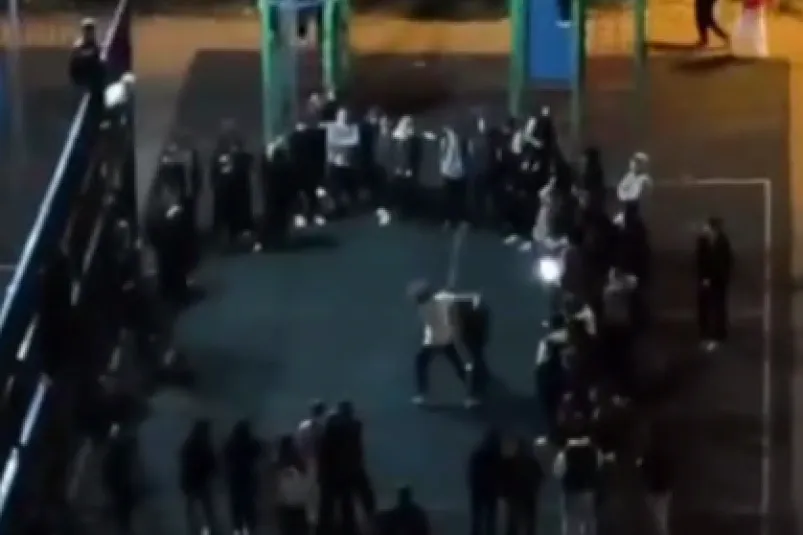 В Краснодаре подростковая банда с девочкой-главарем терроризирует город