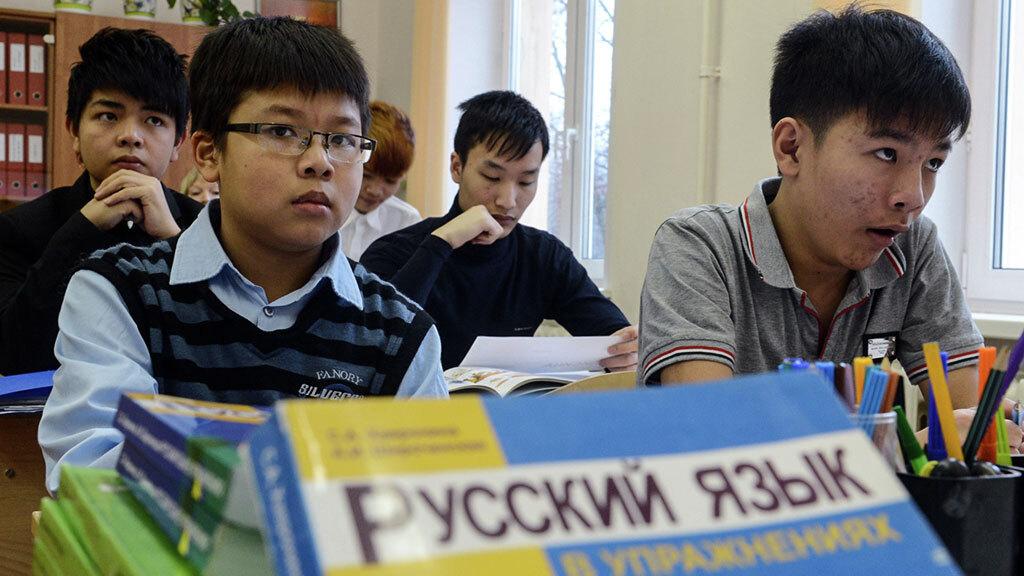 Вторая попытка: в Госдуму внесли законопроект, запрещающий детям мигрантов бесплатно учиться