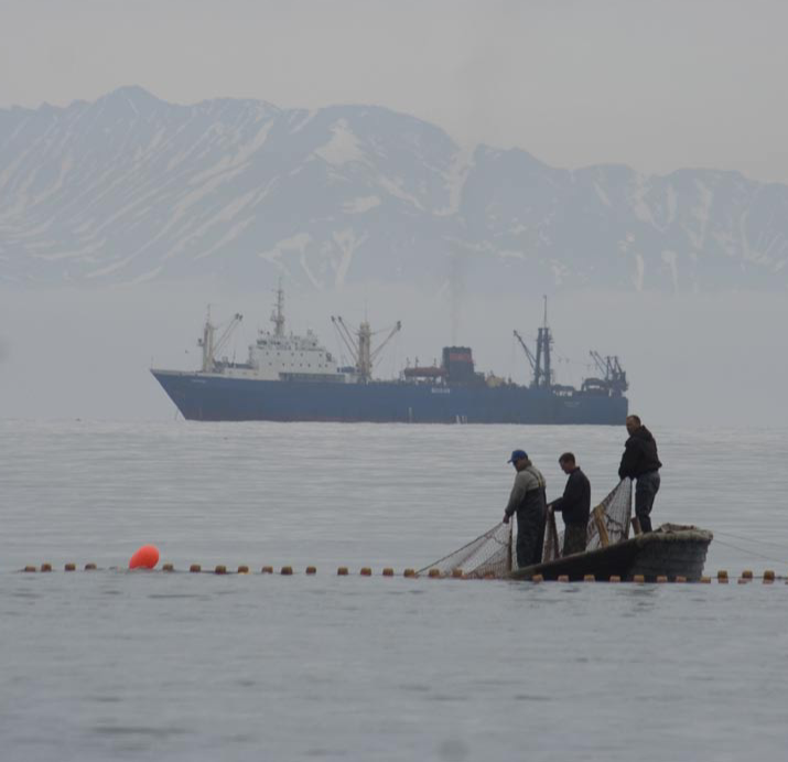 Рекордные уловы: как в Магаданской области прошла путина-2025