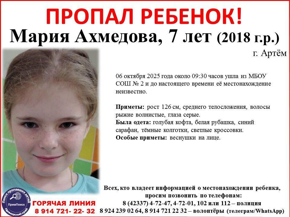 «Хотела вернуть дочь»: в Приморье мать похитила ребёнка из реабилитационного центра