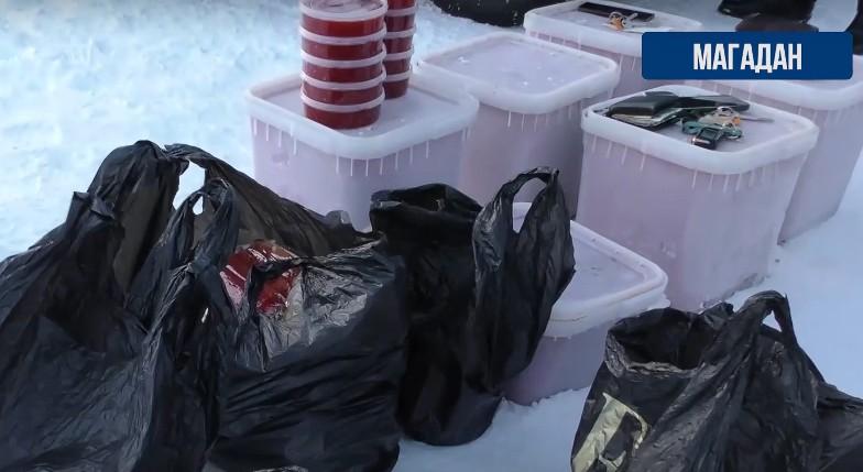 В Магаданской области полиция пресекла незаконную торговлю красной икрой и изъяла крупную партию немаркированной продукции. 