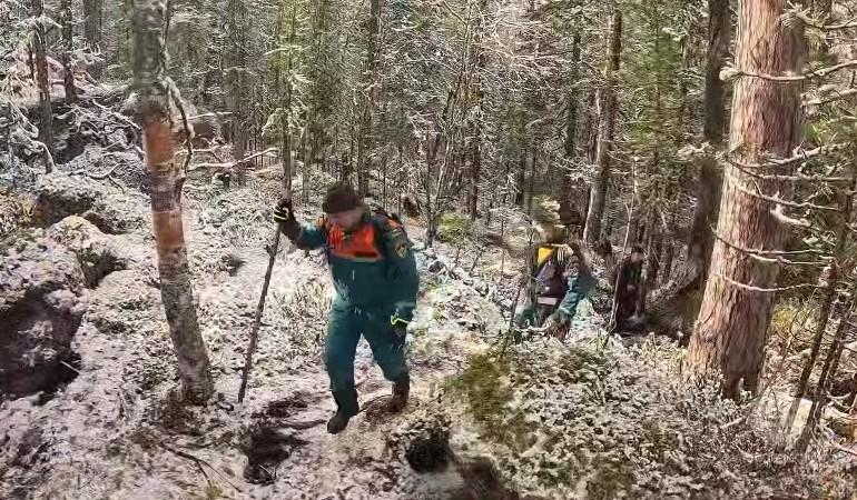 Двести человек ищут в красноярской тайге пропавшую семью с ребенком
