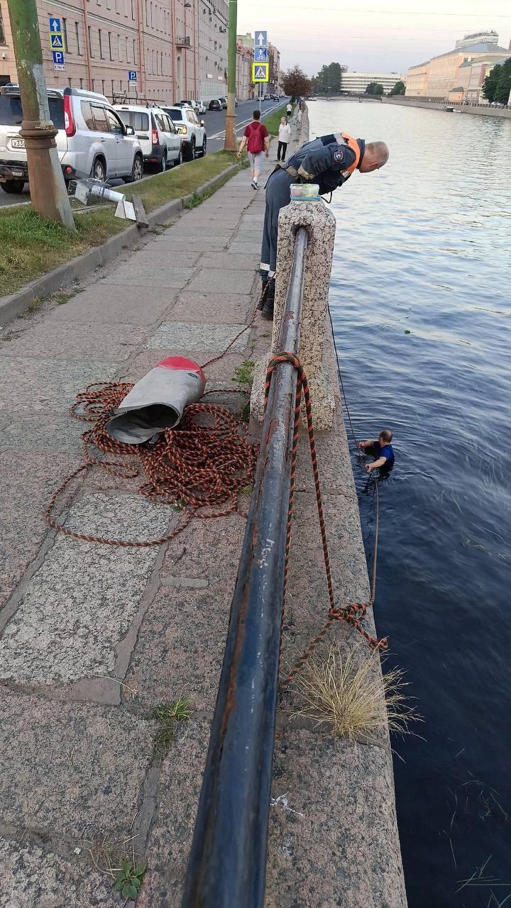 В Петербурге 4 дня пытаются спасти кота. Он застрял на набережной Фонтанки