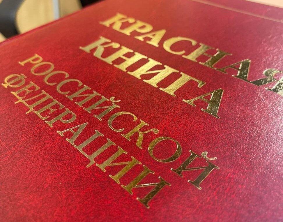 Красную книгу России передали в ведение департамента охоты