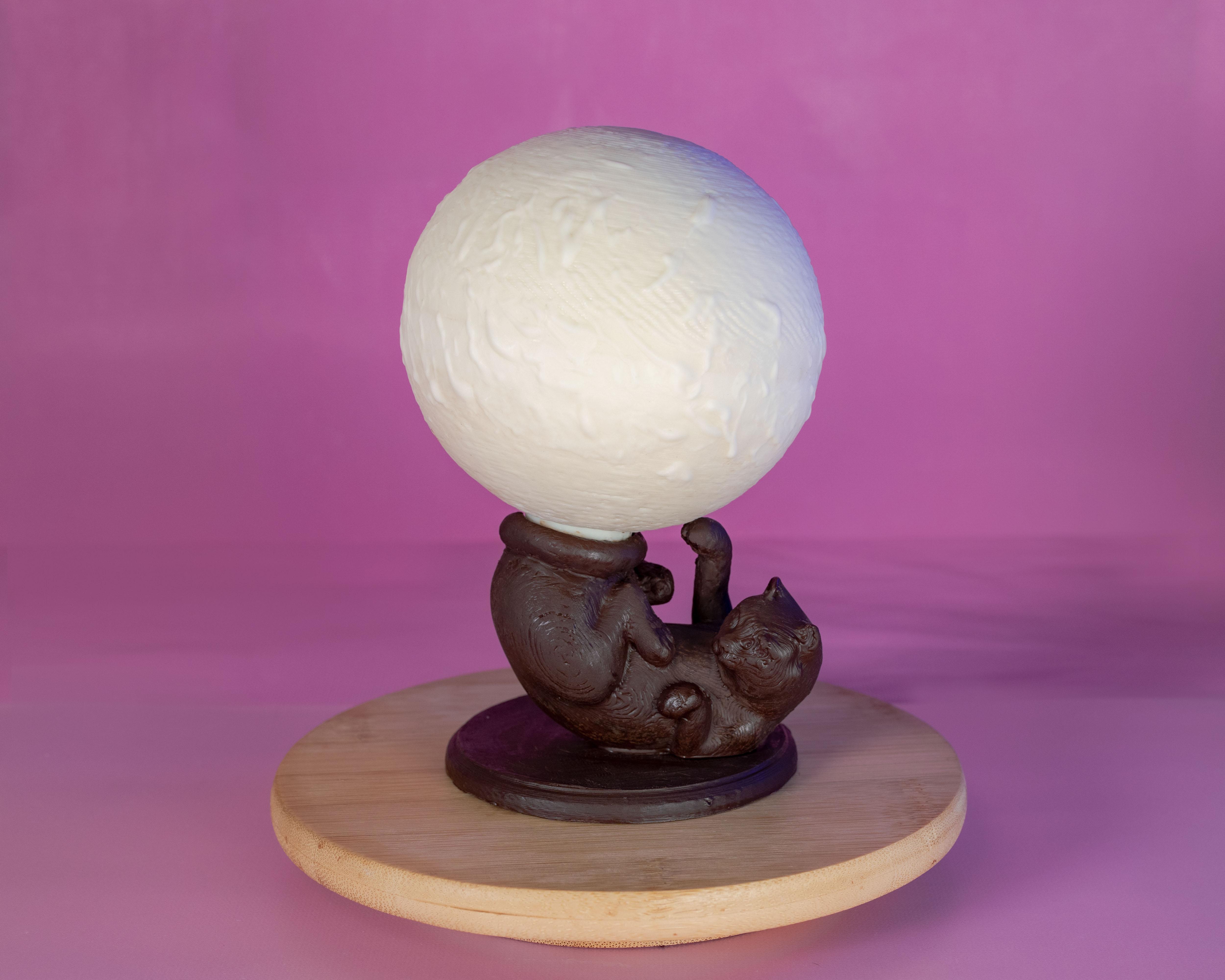 кот играющий с луной