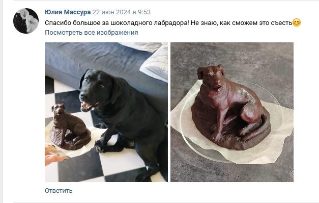 Отзыв о шоколадном лабрадоре