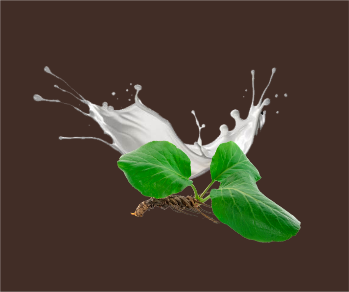 goods image