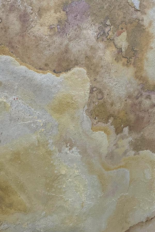 microscope preview
