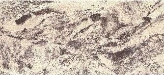 microscope preview